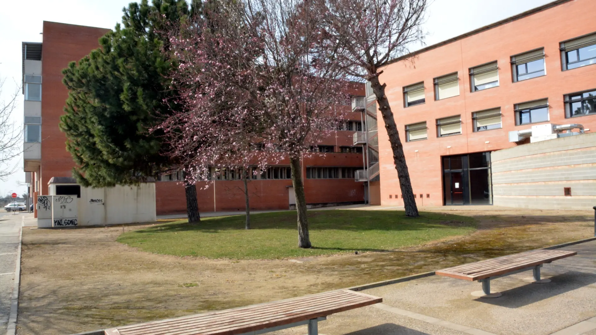 
         La Universidad de Lleida instala luz azul en un lavabo para evitar que entre gente a pincharse droga 
    