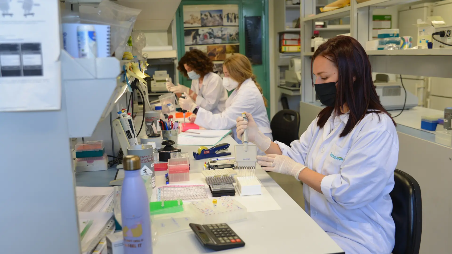 España, líder europeo en ensayos clínicos contra el cáncer gracias a la agilidad y la "atomización" de los grupos de investigación