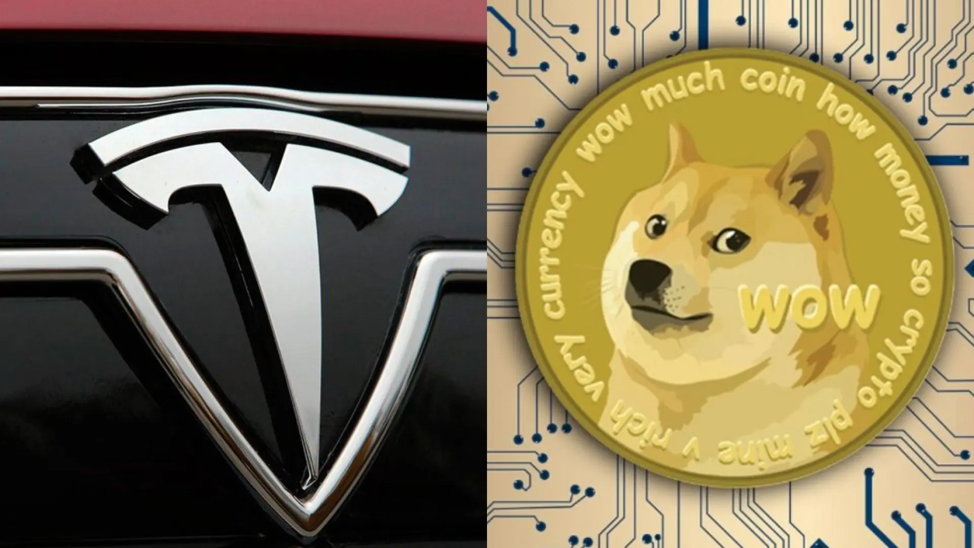 Dogecoin - Últimas noticias de Dogecoin en 20minutos.es | 20minutos.es