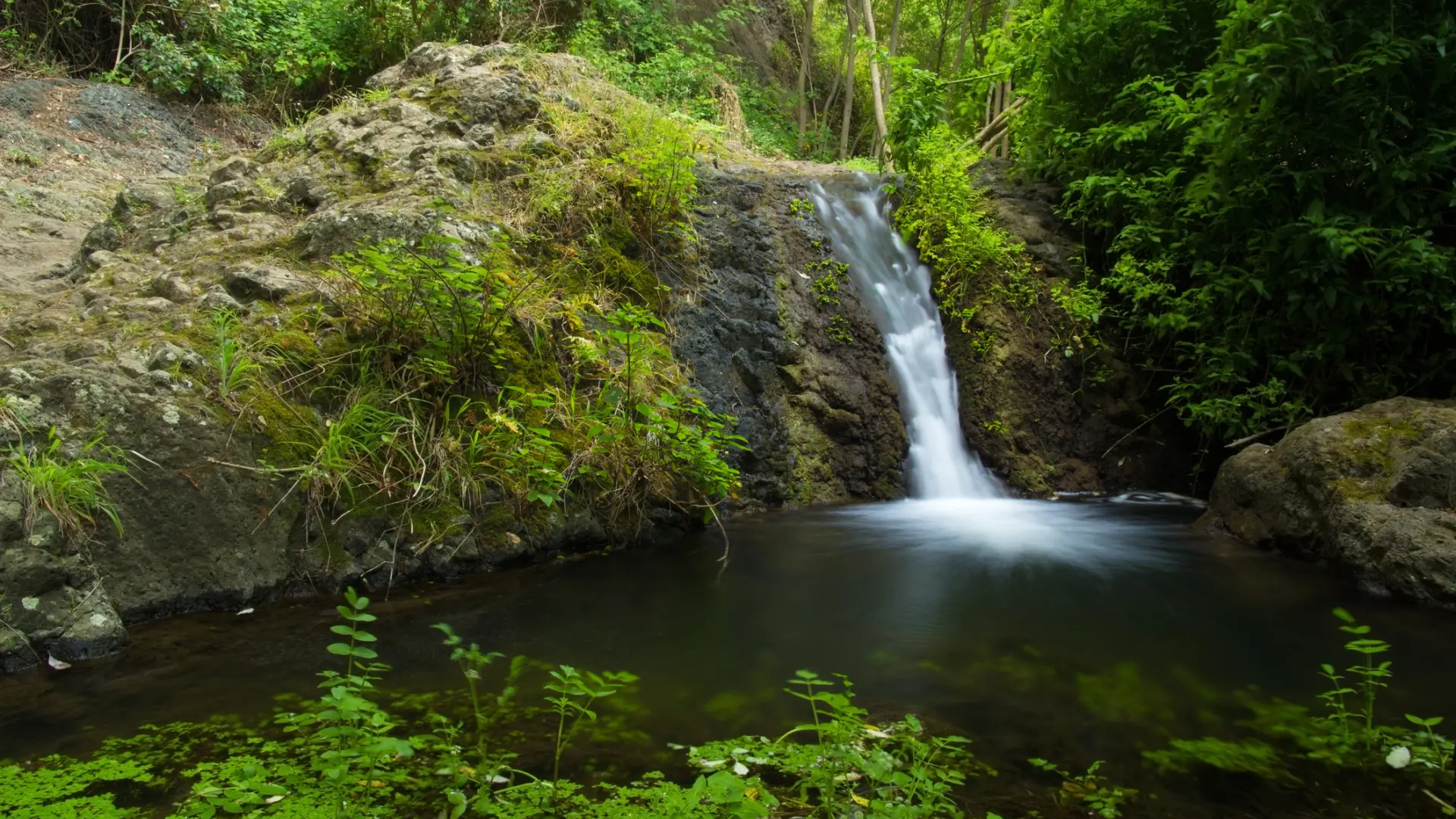 La ruta más aventurera de Gran Canaria: cascadas, balcones flotantes y un balneario abandonado en el fondo del barranco