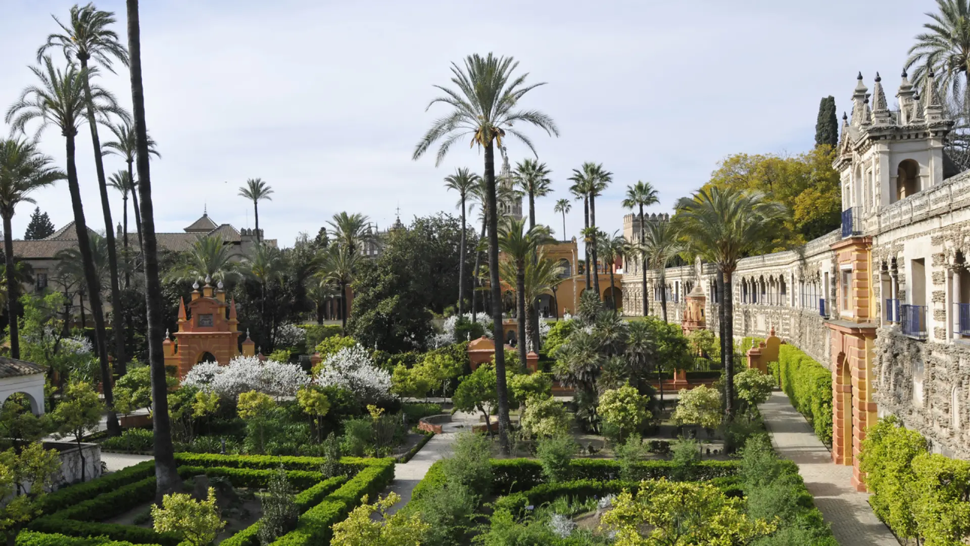El Ayuntamiento de Sevilla cierra los jardines del Alcázar y el parque de Miraflores al aparecer más gansos y un pavo real muertos