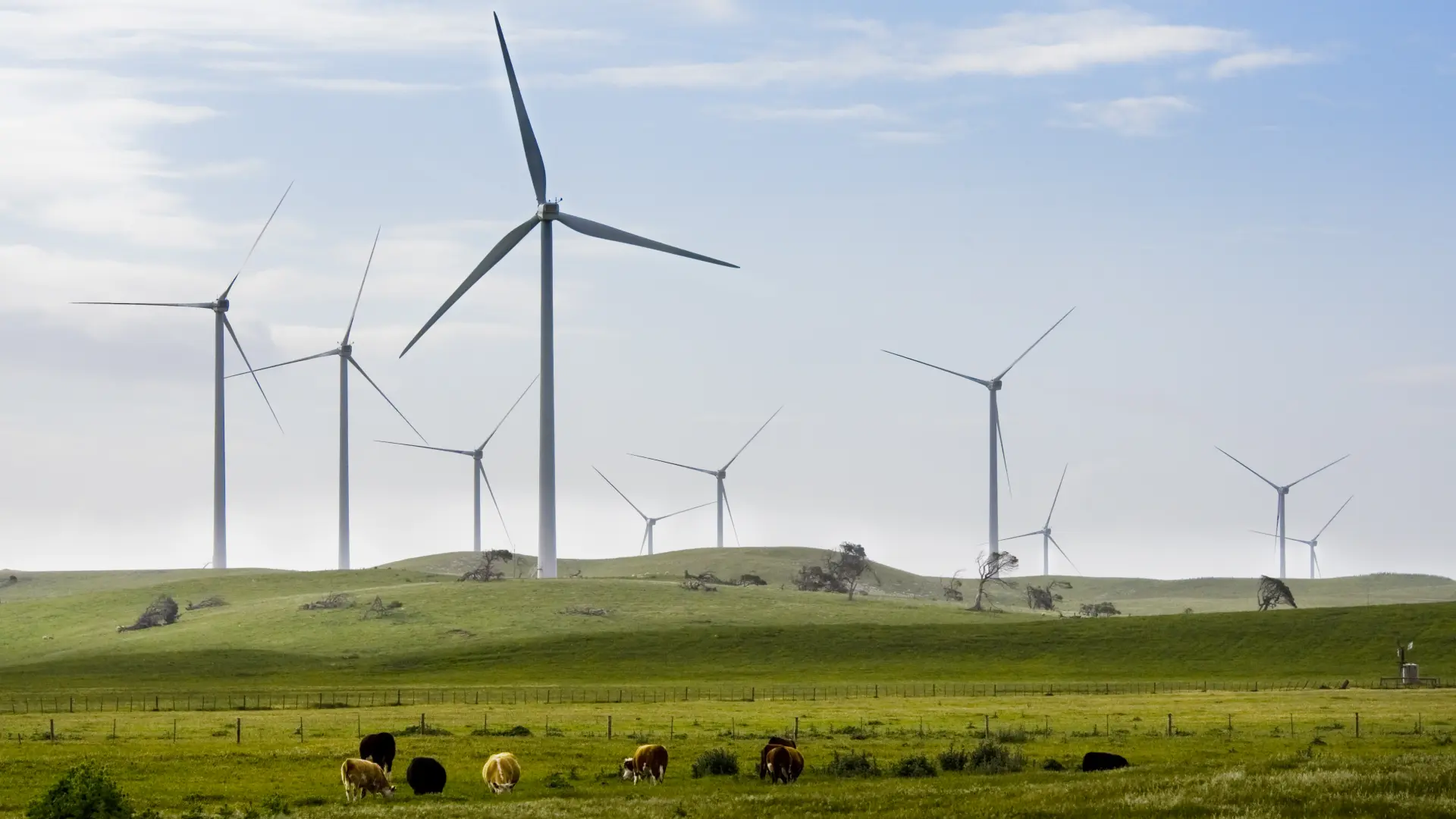 Iberdrola vende su negocio de renovables en Hungría por más de 171 millones de euros