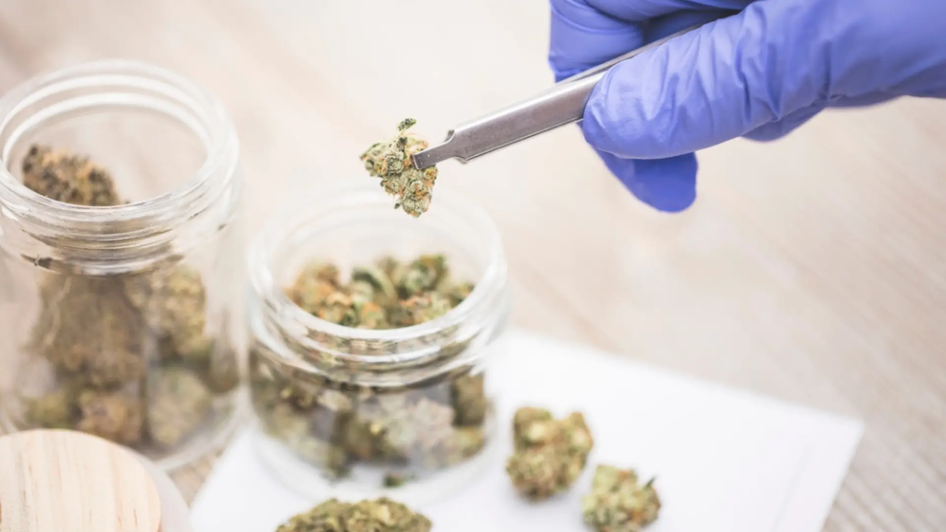 El Gobierno aprueba el uso medicinal de cannabis en casos donde los tratamientos convencionales no son eficaces