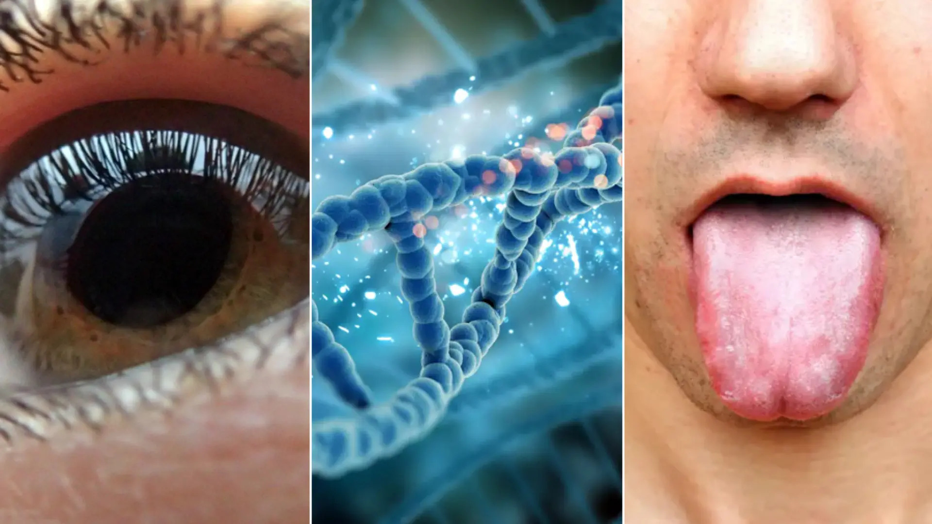 Datos increíbles del cuerpo humano que cuesta creer