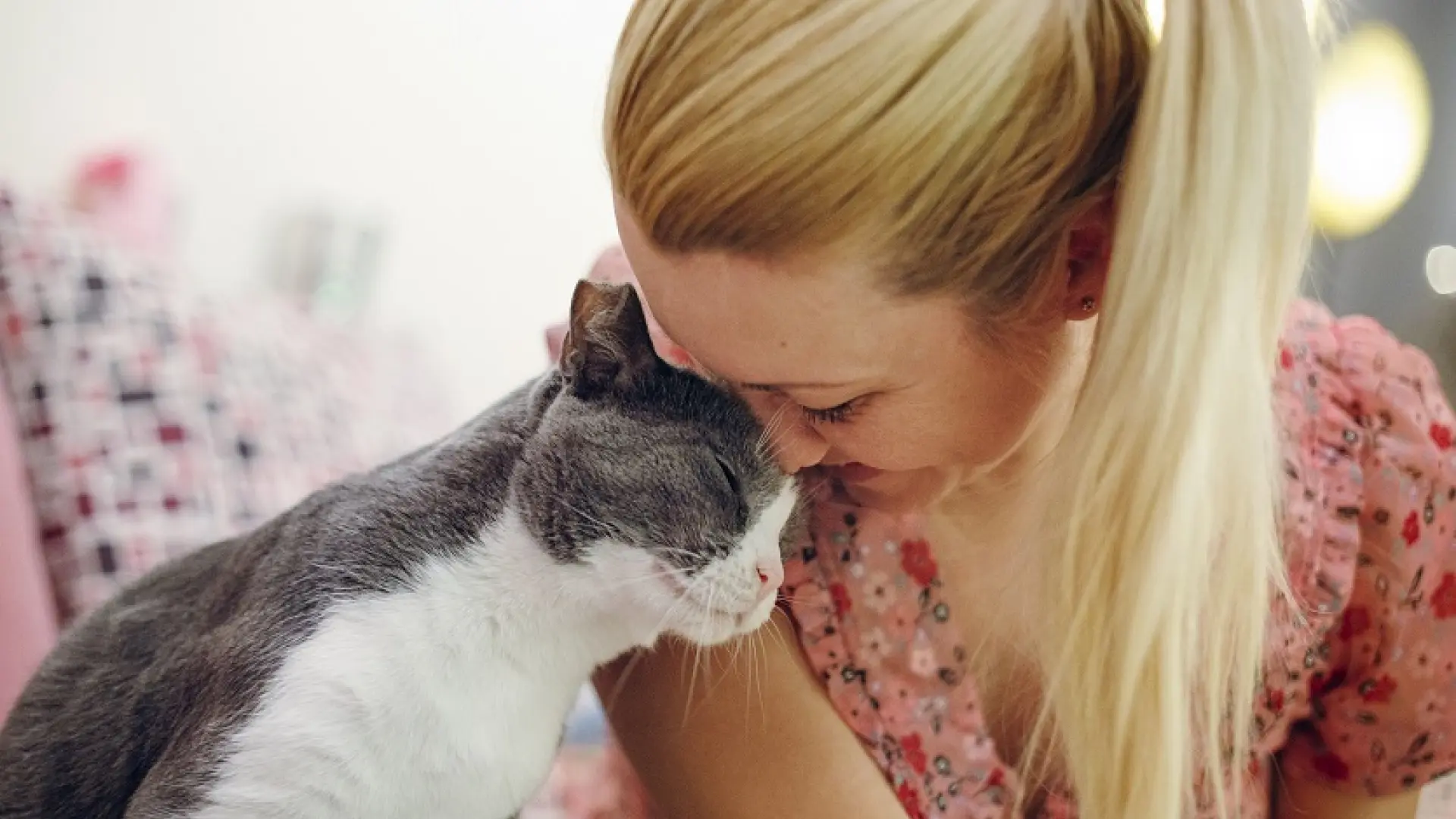 Todo sobre la ansiedad por separación en gatos, un trastorno que afecta a 1 de cada 10 felinos