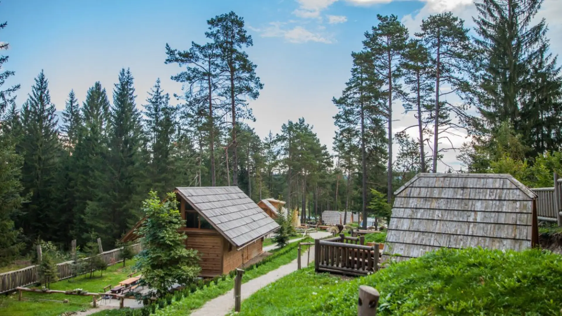La plataforma de viajes que ofrece alojamientos únicos en plena naturaleza: glamping, burbujas transparentes, casas en árboles...