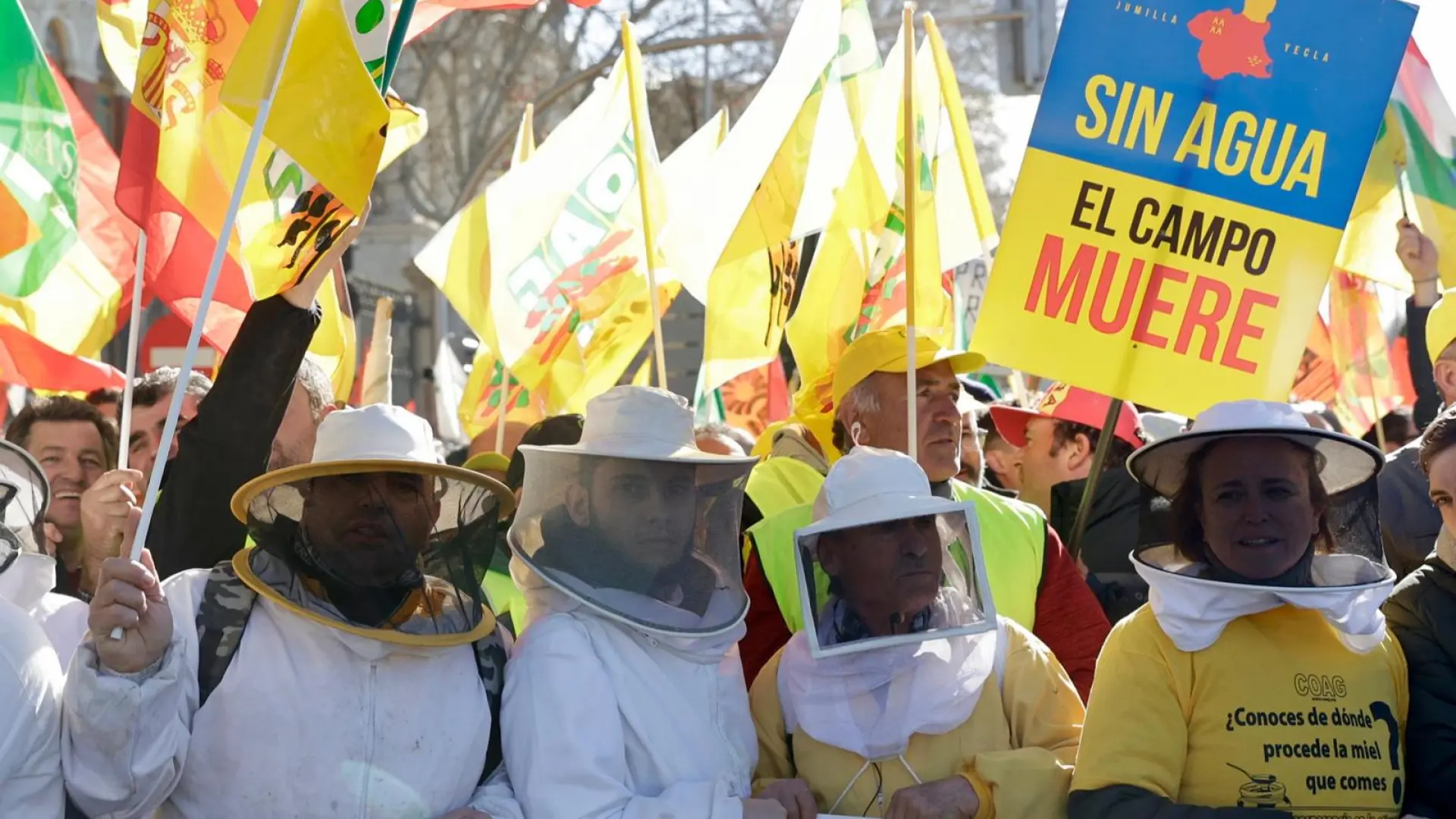 La apicultura española, francesa y lusa se movilizarán el 28 de enero  contra las importaciones de miel 'fake'