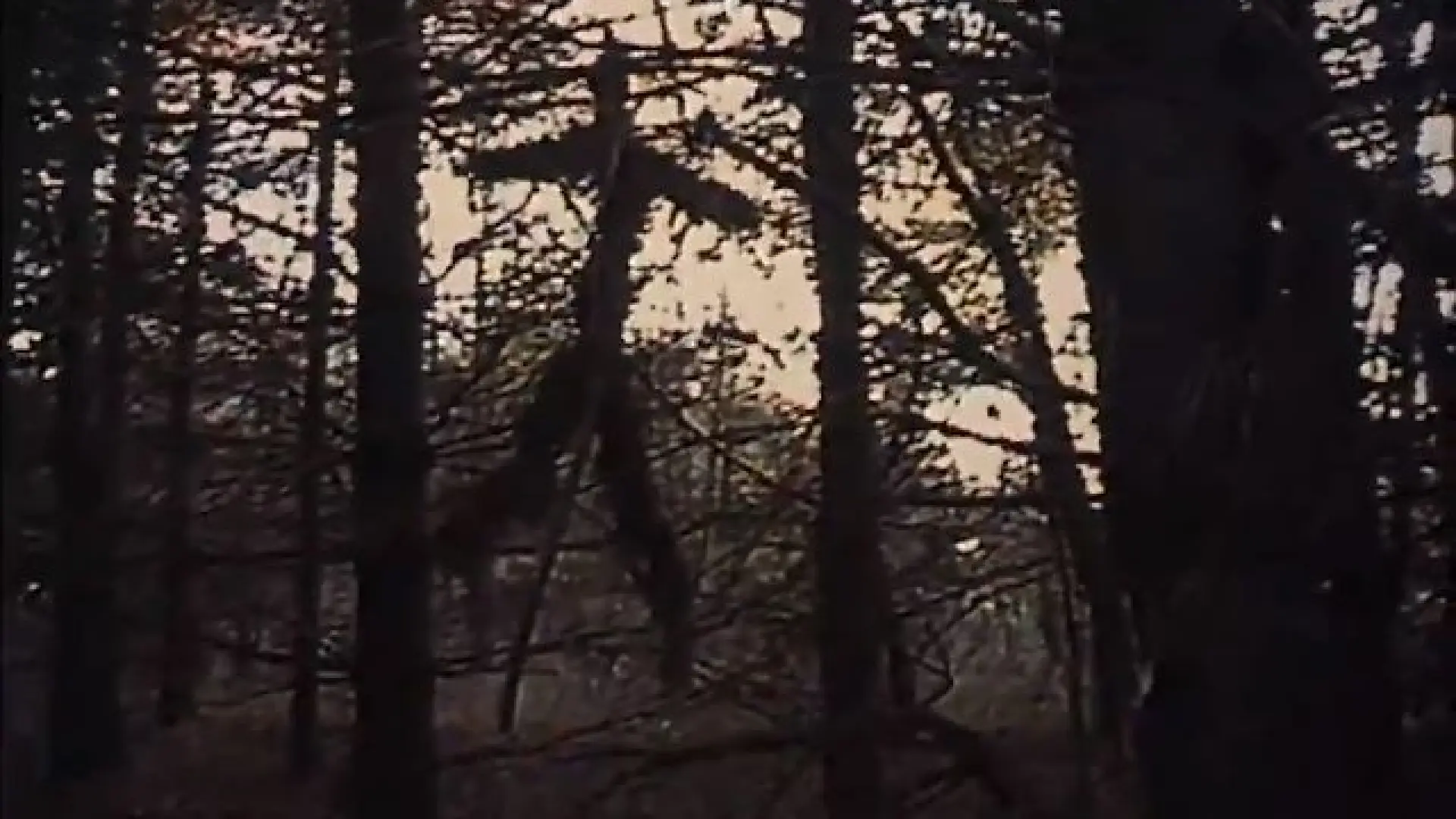 El proyecto de la bruja de Blair': así engañó a todo el mundo haciéndose pasar por hechos reales