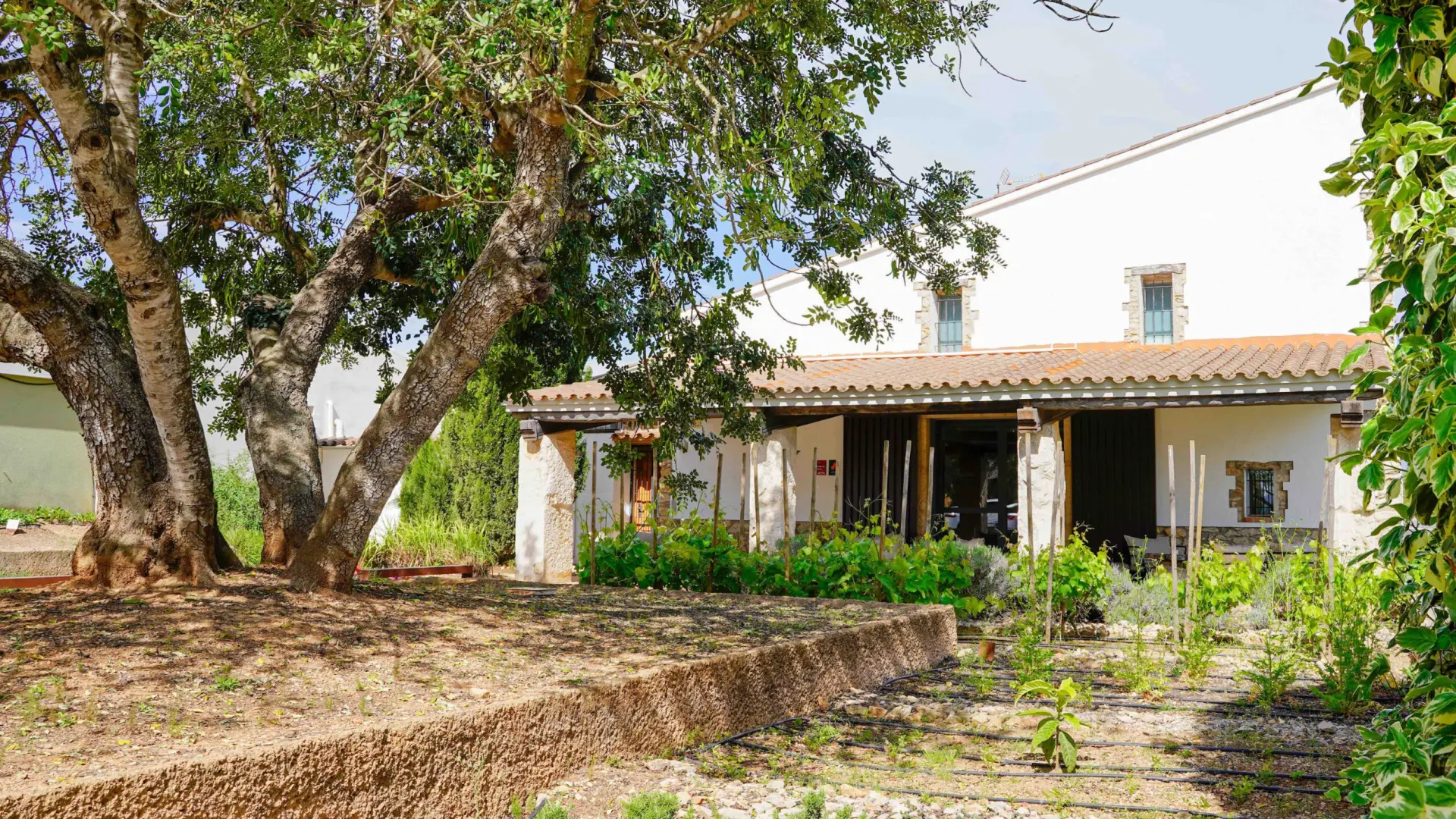 
         El pueblo con más estrellas Michelin por habitante de España 
    