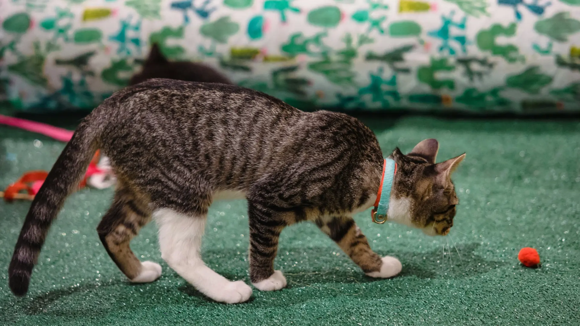 Sorry! Image not available at this time