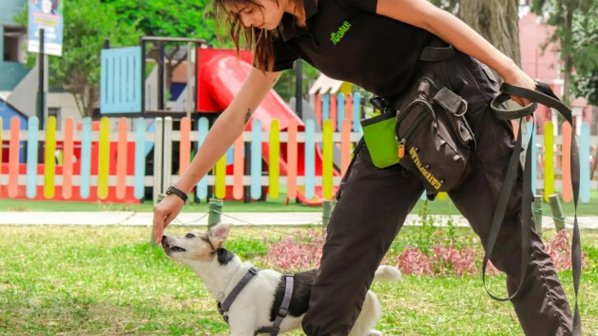 
         Olfatear o aprender a sentarse: qué entrenamiento influye más en el bienestar de los perros 
    