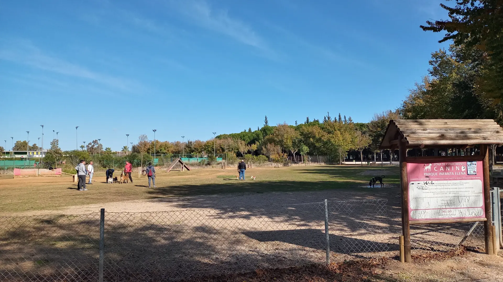 Los pipicanes, ¿aliados o enemigos del bienestar canino en la ciudad?