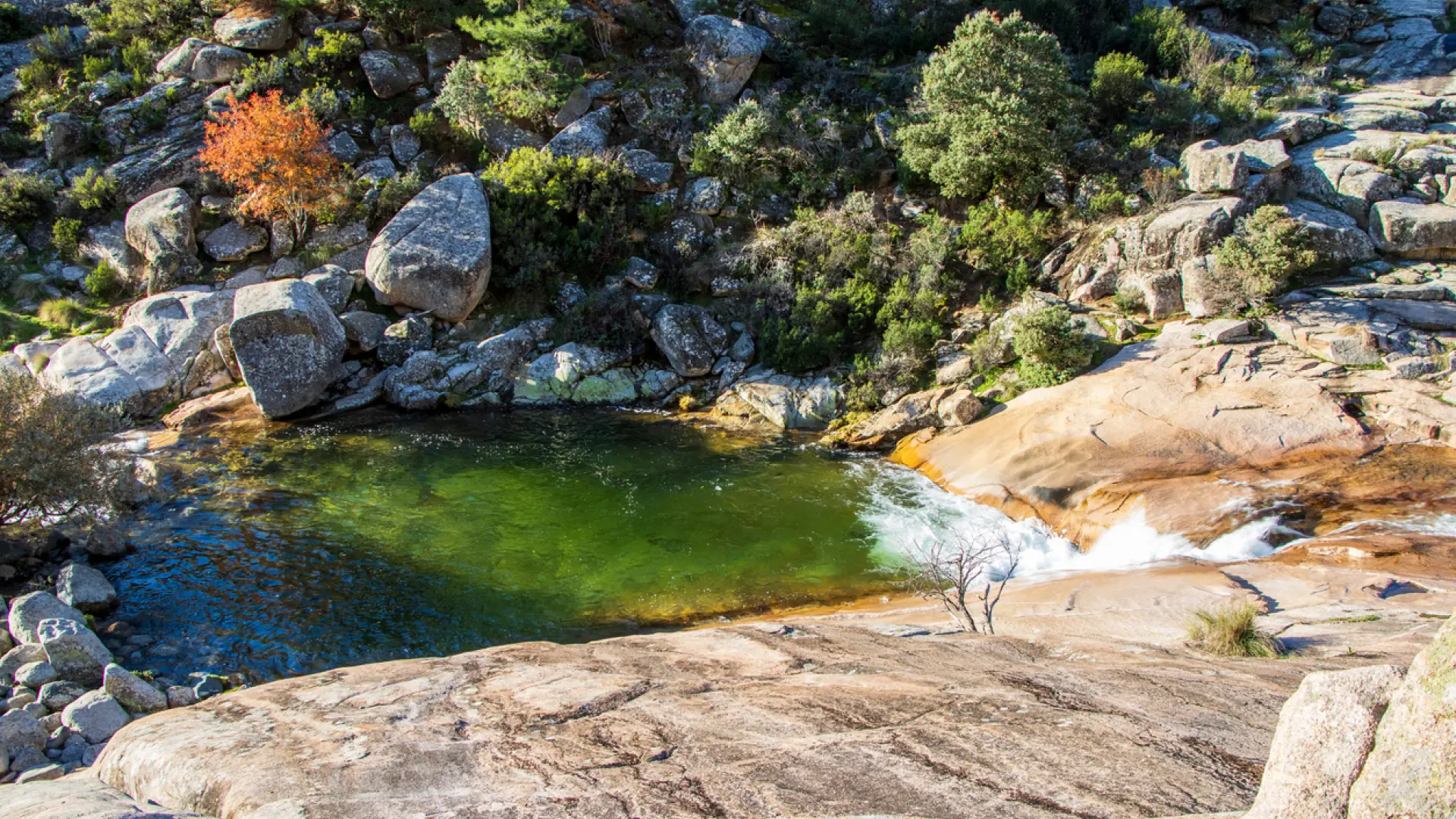 Piscina naturales en Madrid