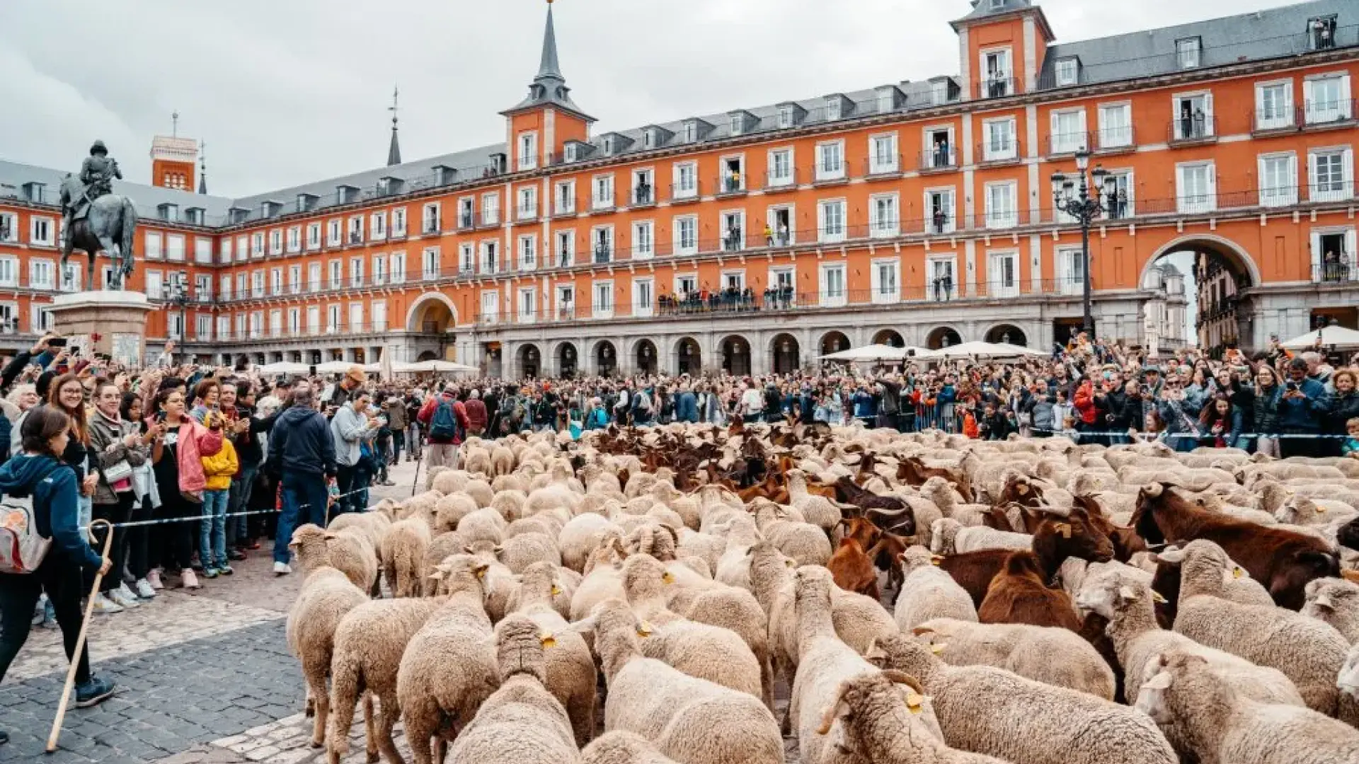 Fiesta de la Trashumancia de Madrid: horario, recorrido por el centro y actividades gratis