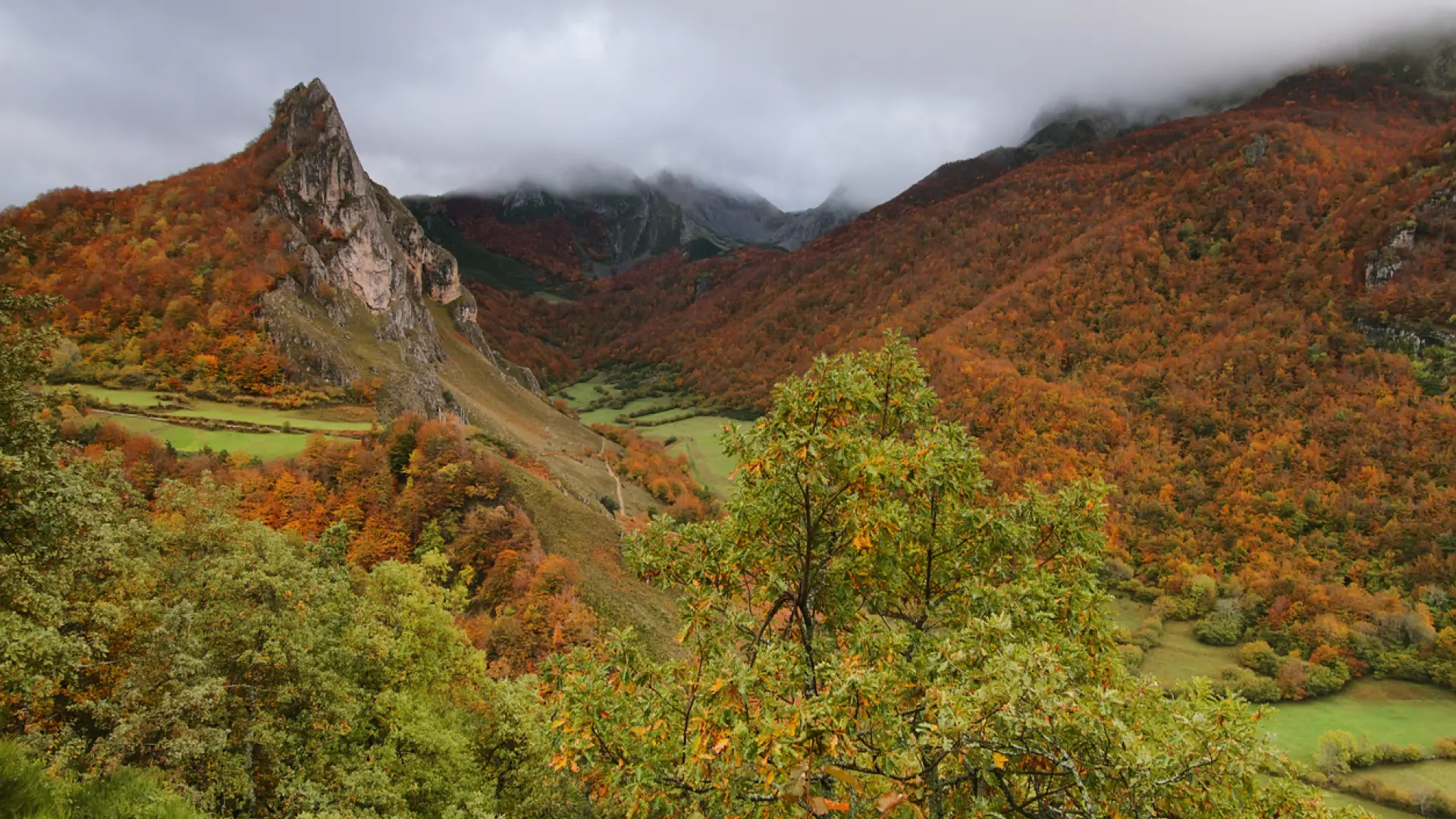 Tres paisajes idílicos de Asturias para recorrer a pie este otoño