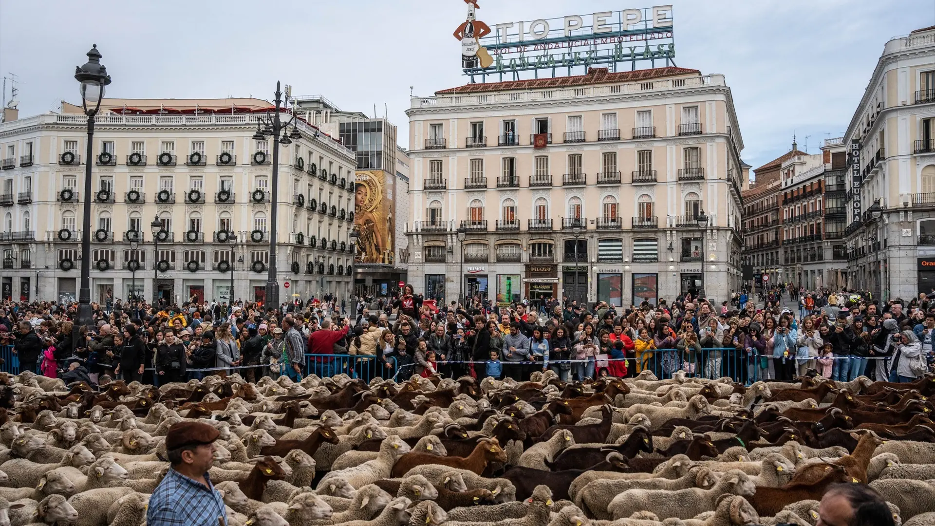 Calles y cortes de tráfico en Madrid por la Fiesta de la Trashumancia 2025