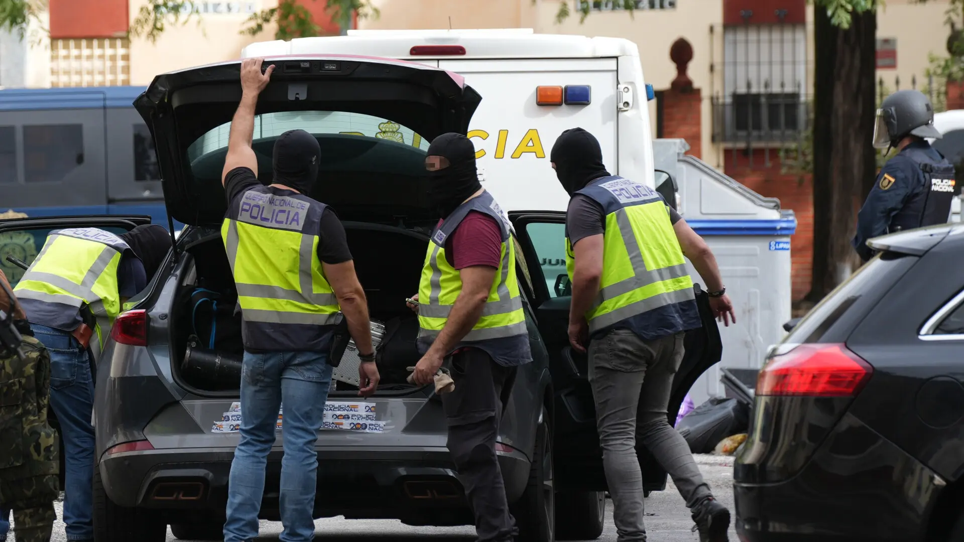 Macrorredada policial en Tres Barrios con siete detenidos en 14 registros y mil plantas de marihuana incautadas