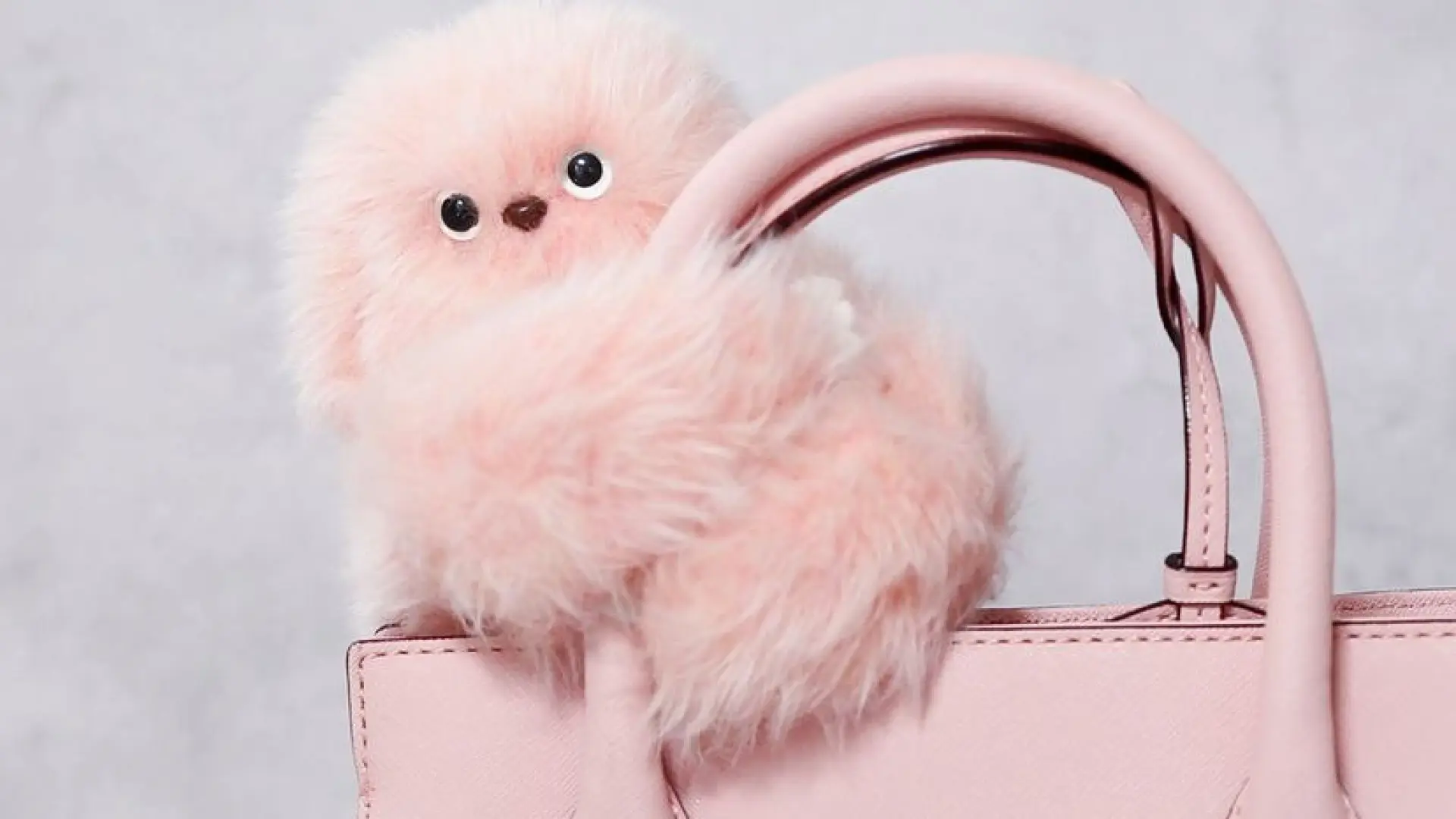 Así es Mirumi, el adorable robot con ojos saltones que querrás llevar colgado en tu bolso o mochila