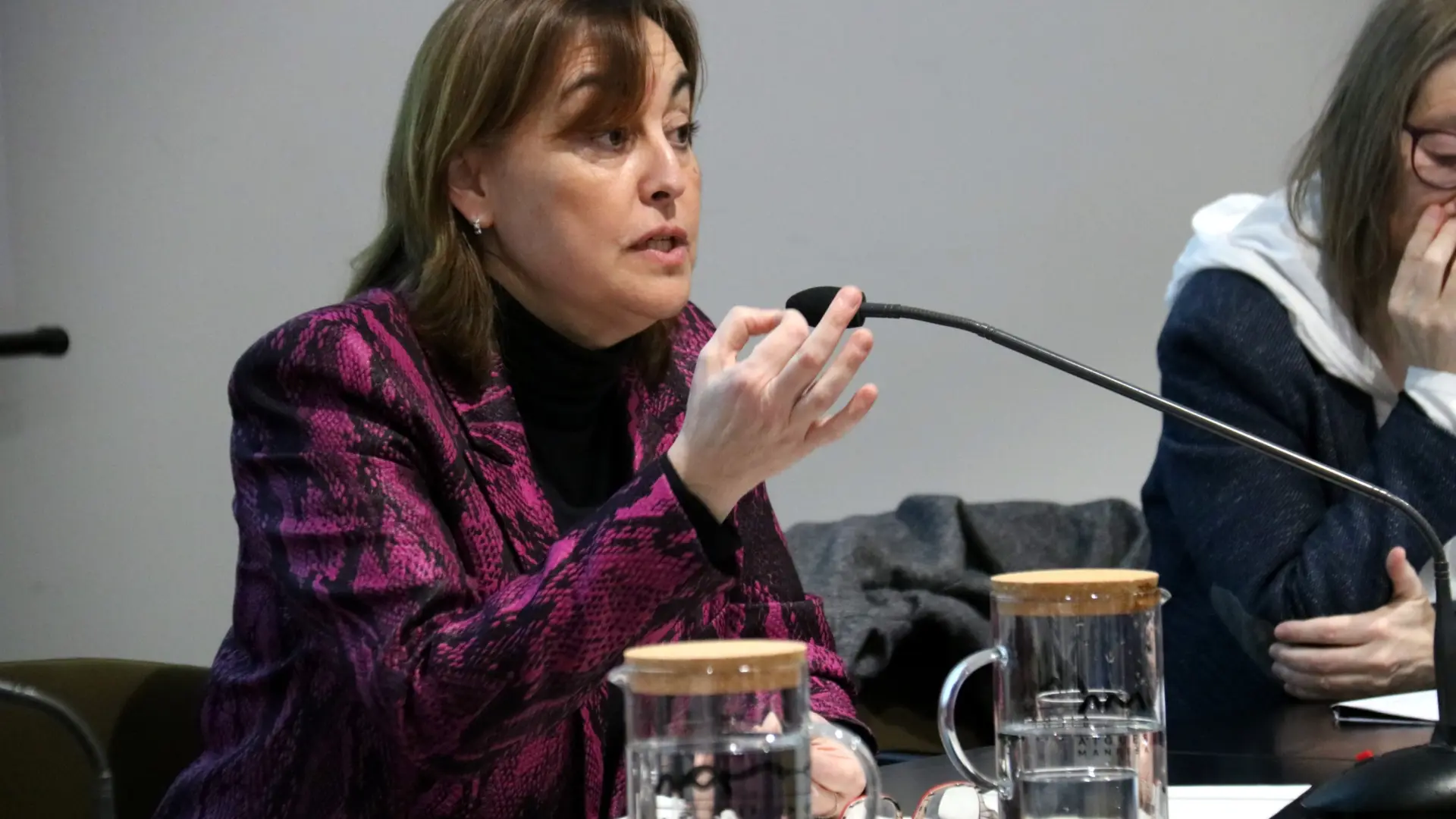 Paneque, tras el acuerdo con los sindicatos: "El operador que gestiona  Rodalies es Renfe y tiene que continuar siendo Renfe"