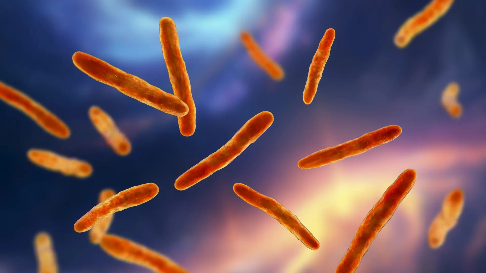 Alerta por la bacteria que come carne: cómo evitar contraer la infección Vibrio vulnificus según la CDC de EE.UU