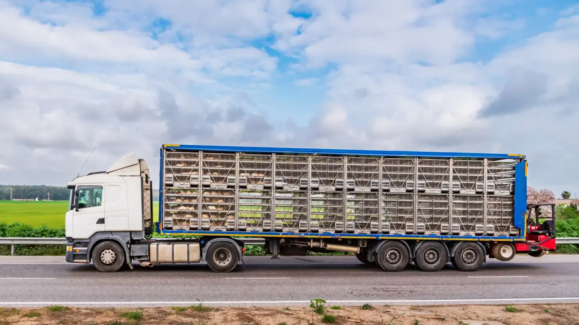 Las dimensiones máximas que puede medir un tráiler para circular de forma legal