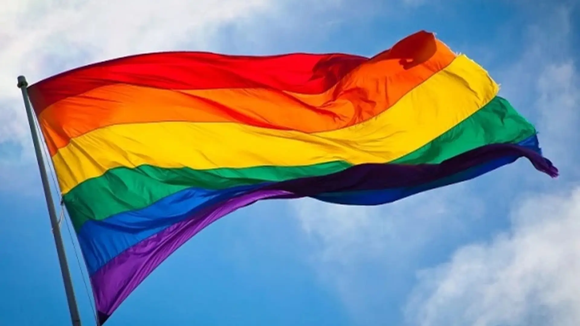 Feministas lesbianas, lesbianas feministas