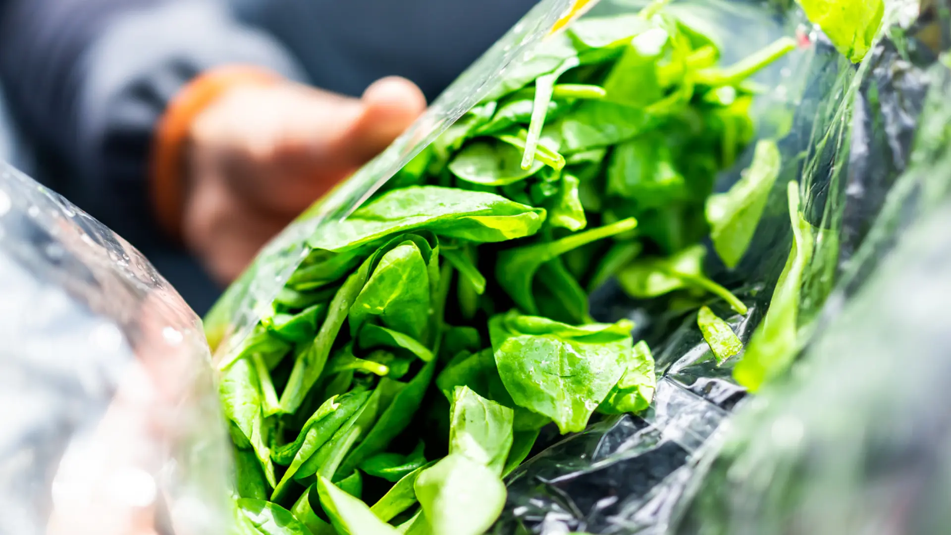 Detectan toxoplasmosis en una de cada 25 ensaladas de bolsa en Europa thumbnail