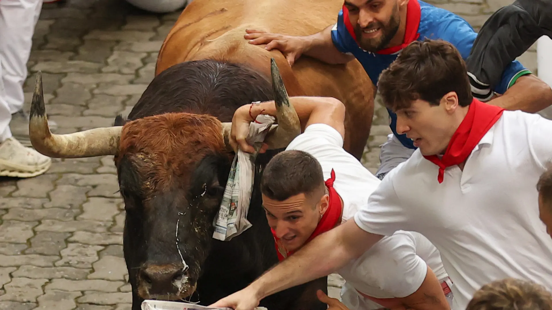 
         Primer encierro: la veloz manada de Fuente Ymbro se rompe y causa numerosas caídas con seis heridos 
    