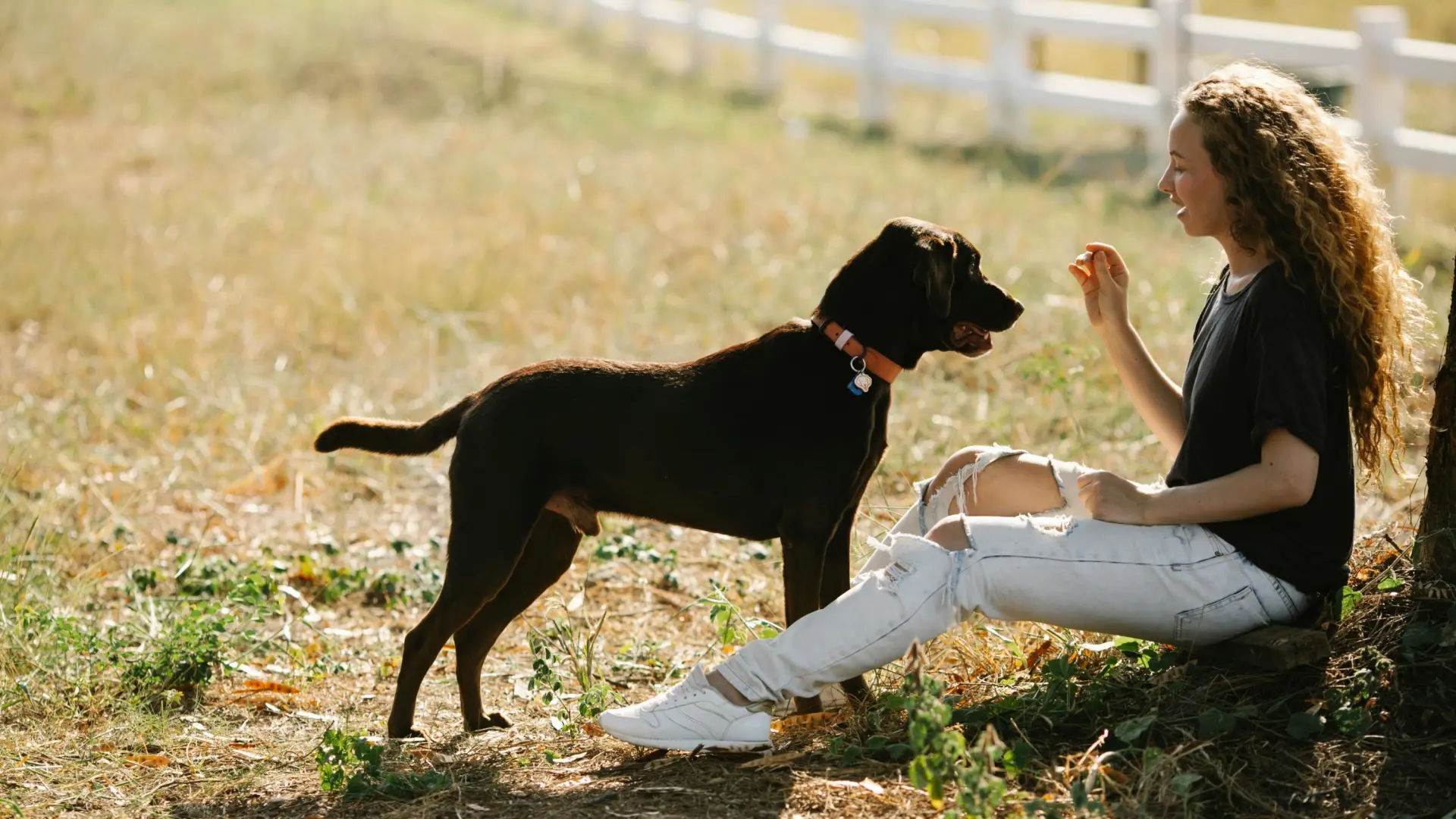 El ‘habla infantilizada’ para perros y gatos: puntos en común y diferencias