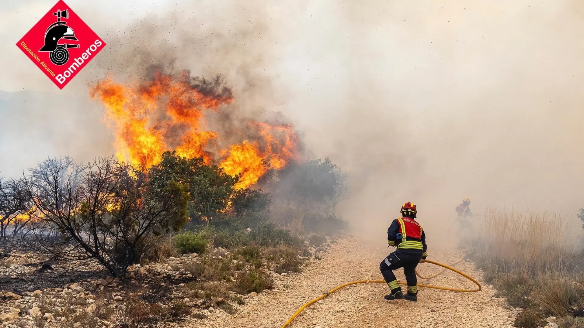 
         El calor y el viento complican la extinción de una decena de fuegos 
    