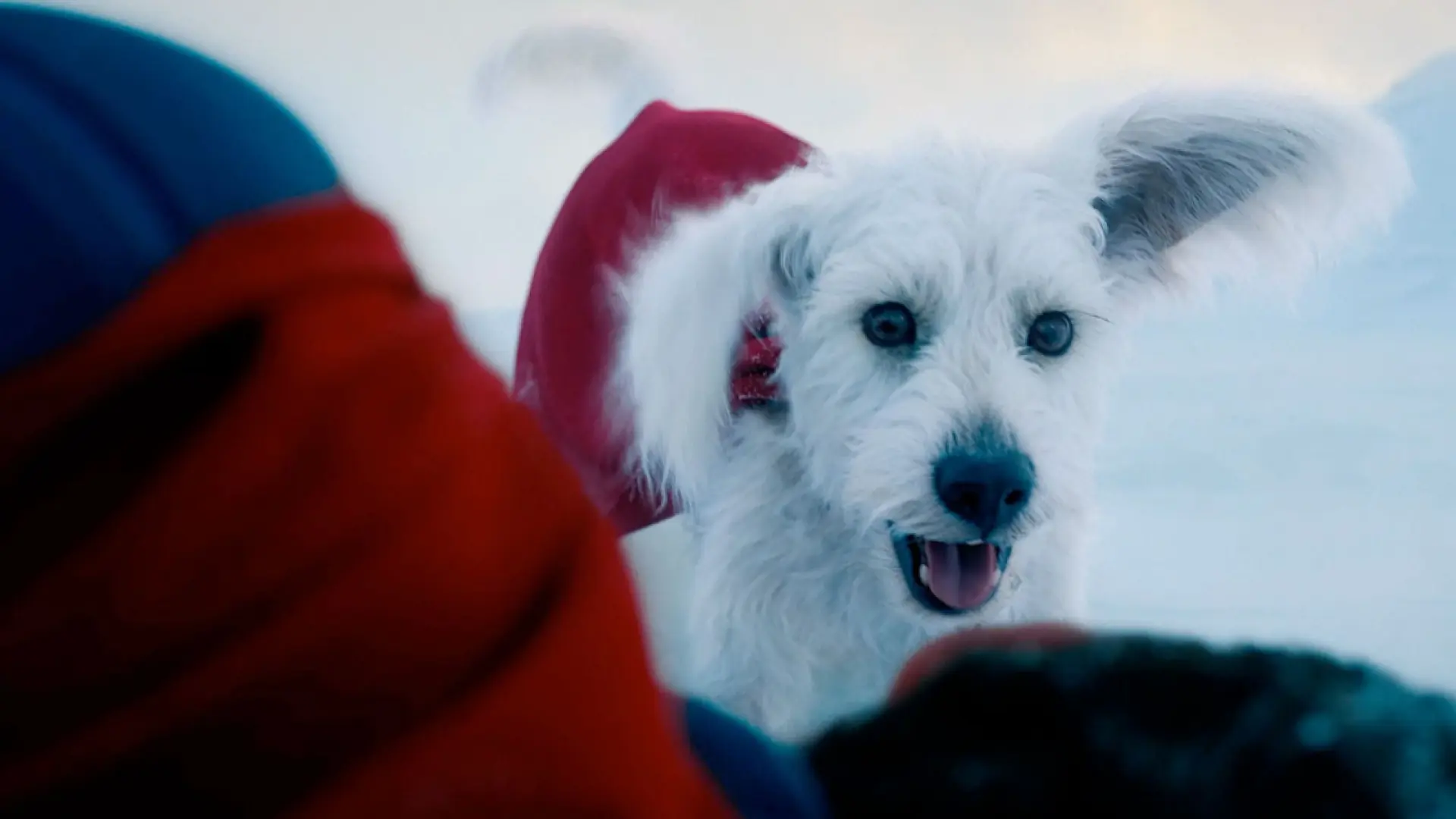 “They had been flawed within the evidence projection” “They had been flawed within the evidence projection”