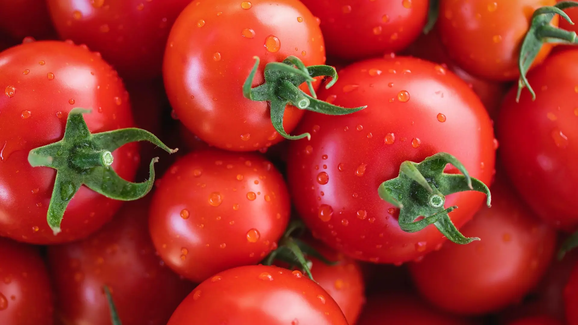 Pablo Ojeda revela el secreto definitivo para pelar los tomates mucho más fácil y rápido