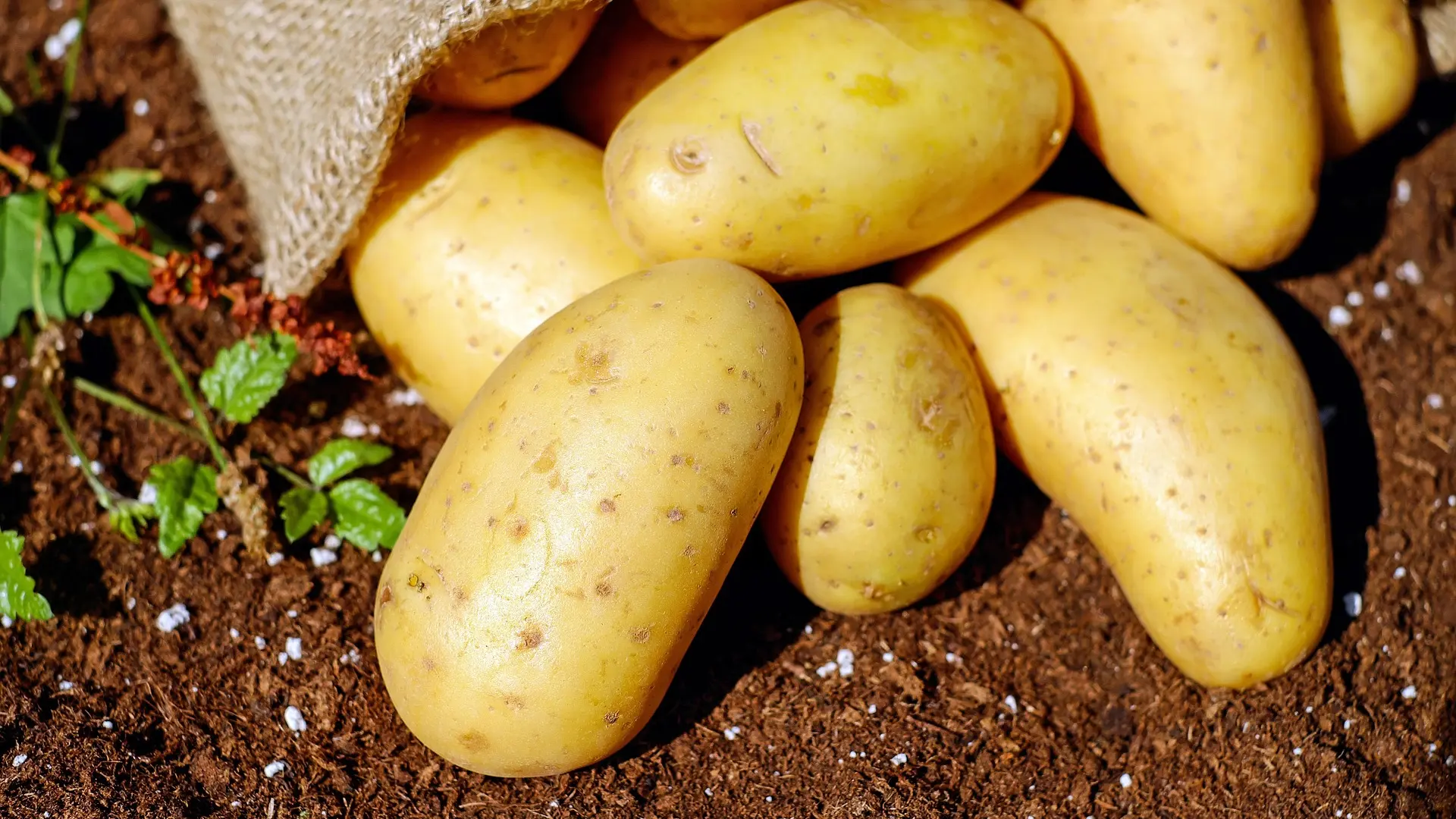 Patatas, uvas blancas y huevos: los alimentos básicos que más se han encarecido en octubre en el súper