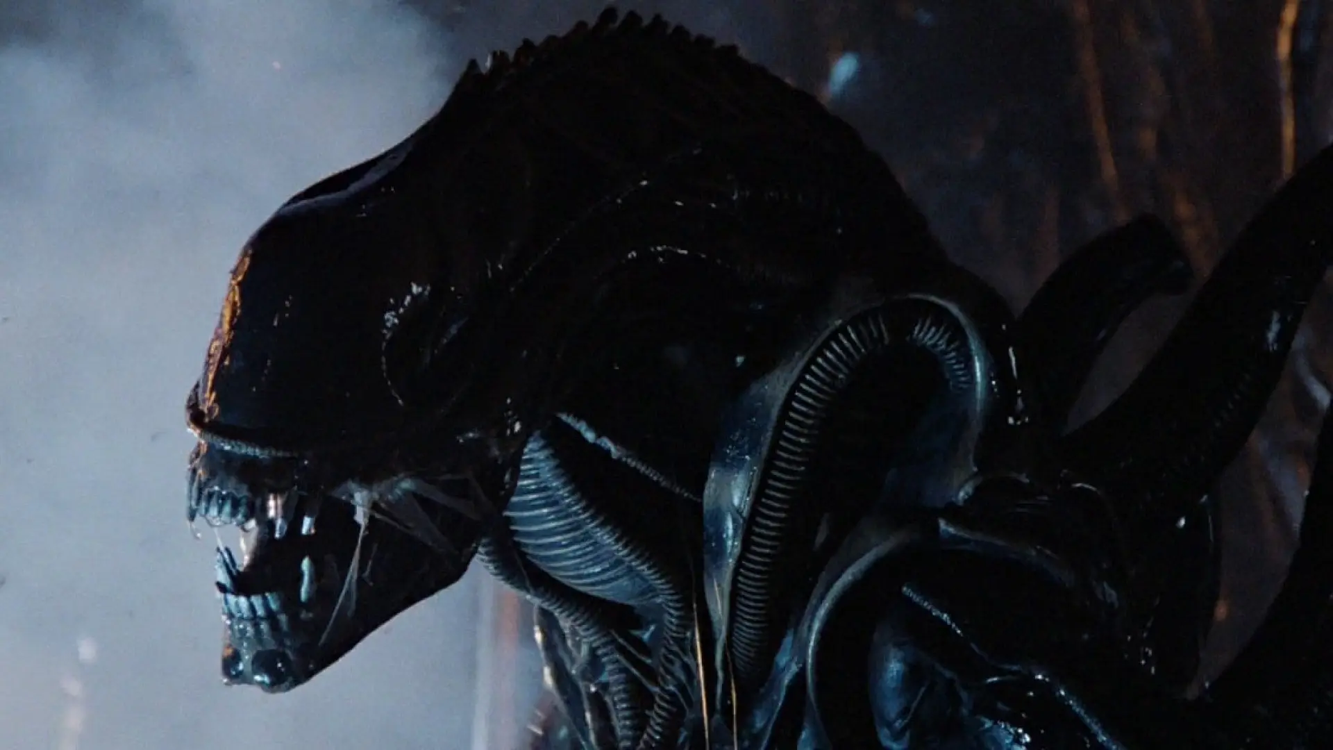 “Xenoformo” or “xenomorfo”? That is the proper solution to name the creatures of 'Alien' “Xenoformo” or “xenomorfo”? That is the proper solution to name the creatures of 'Alien'