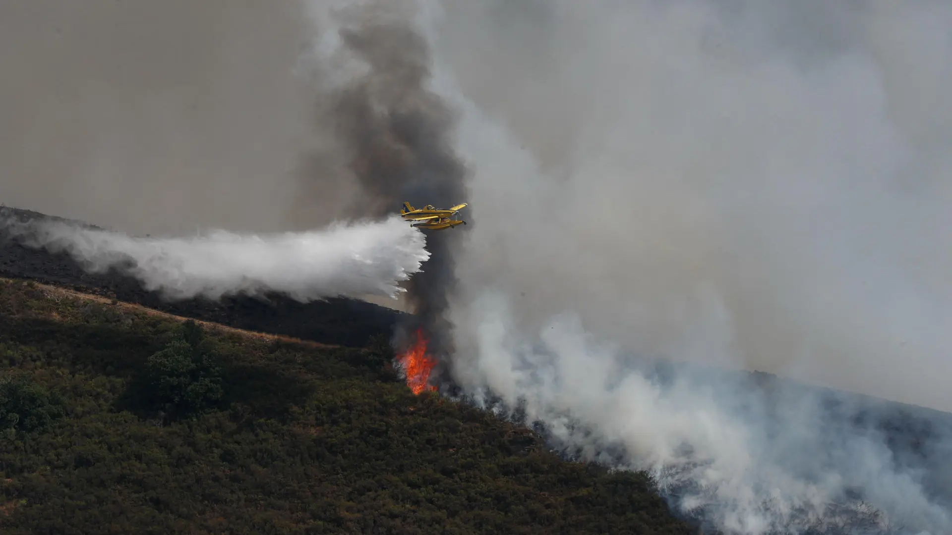 El abandono del terreno rústico en España: un  combustible  para el fuego de 2,32 millones de hectáreas