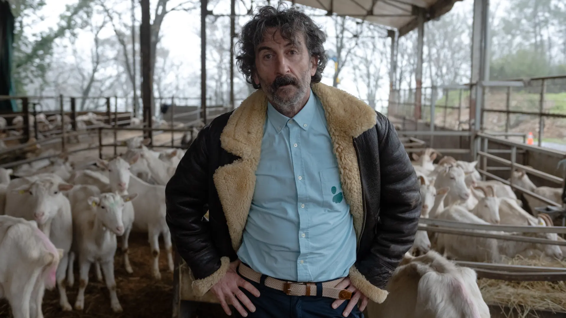 Así es 'Animal', la nueva serie con Luis Zahera en Netflix de los creadores de 'Entrevías'