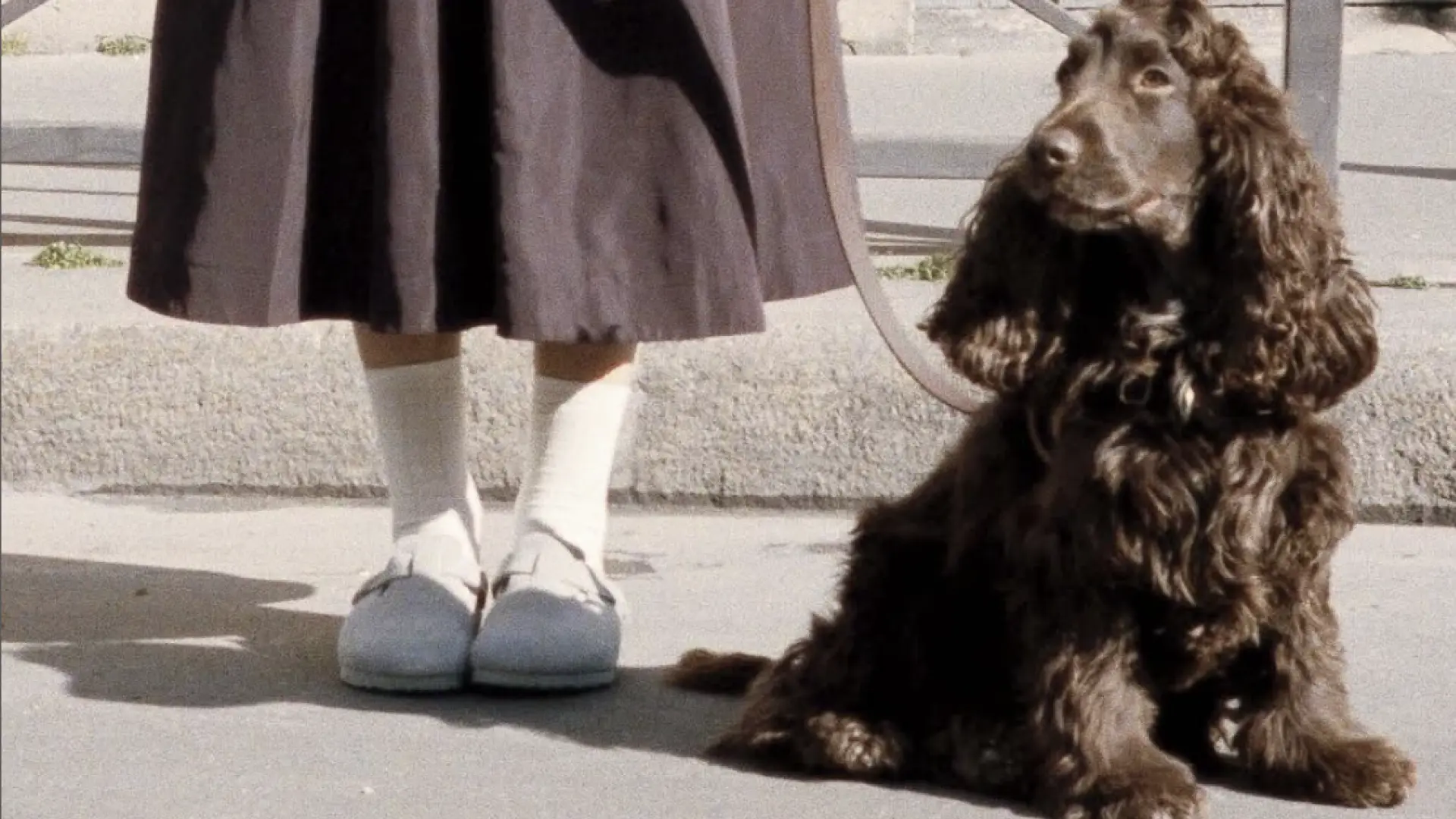 Cómo llevar Birkenstocks cuando bajen las temperaturas: combinaciones que funcionan para tu armario otoñal