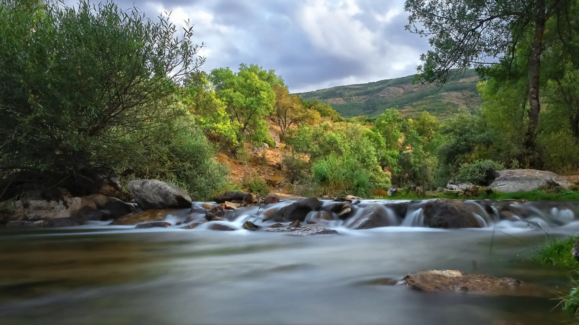 Parece un valle verde del norte, pero es Madrid: una espectacular ruta de praderas, bosques y playa fluvial