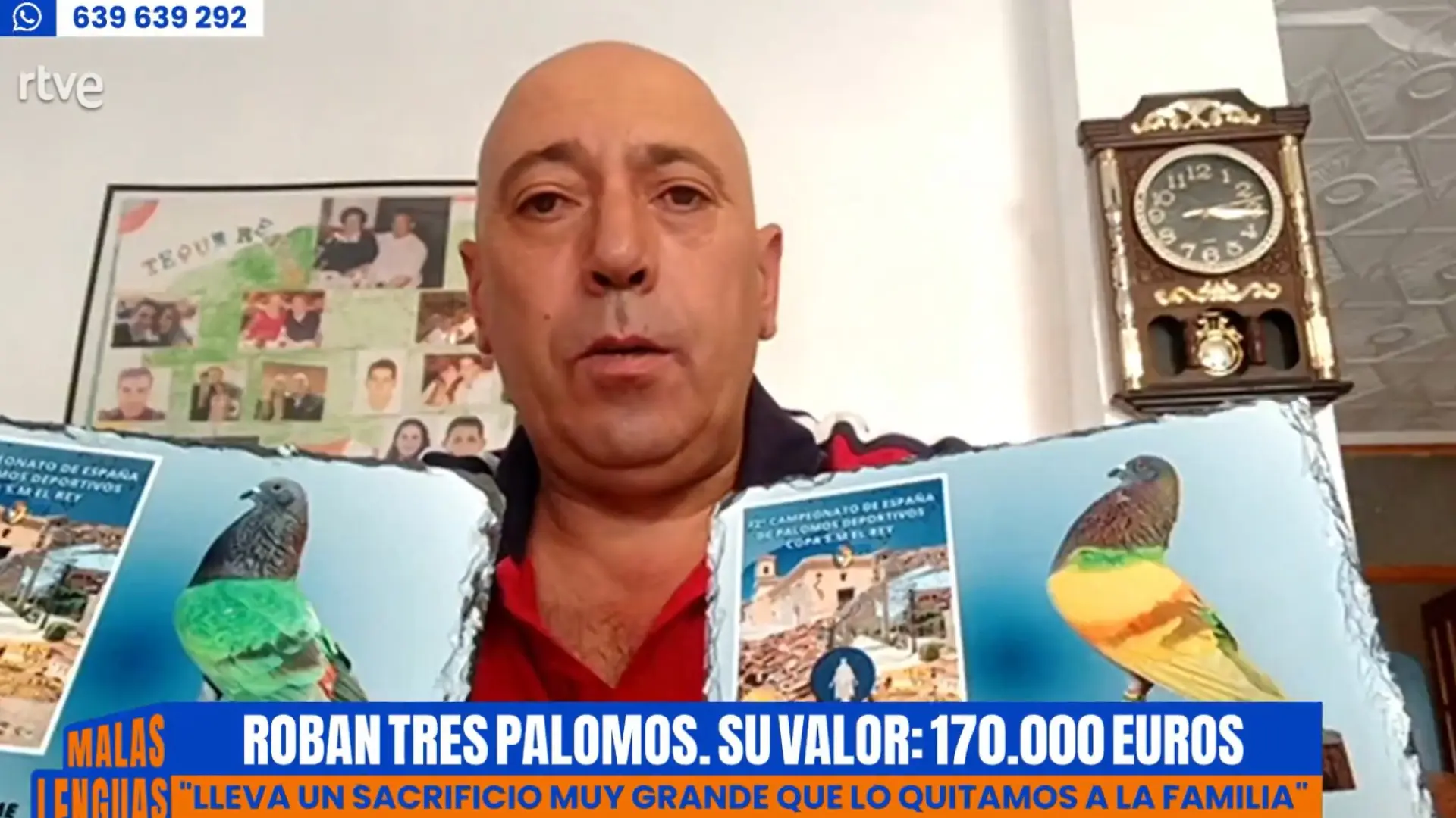 malas-lenguas-habla-con-el-due-o-de-sordo-gran-capit-n-y-joker-tres