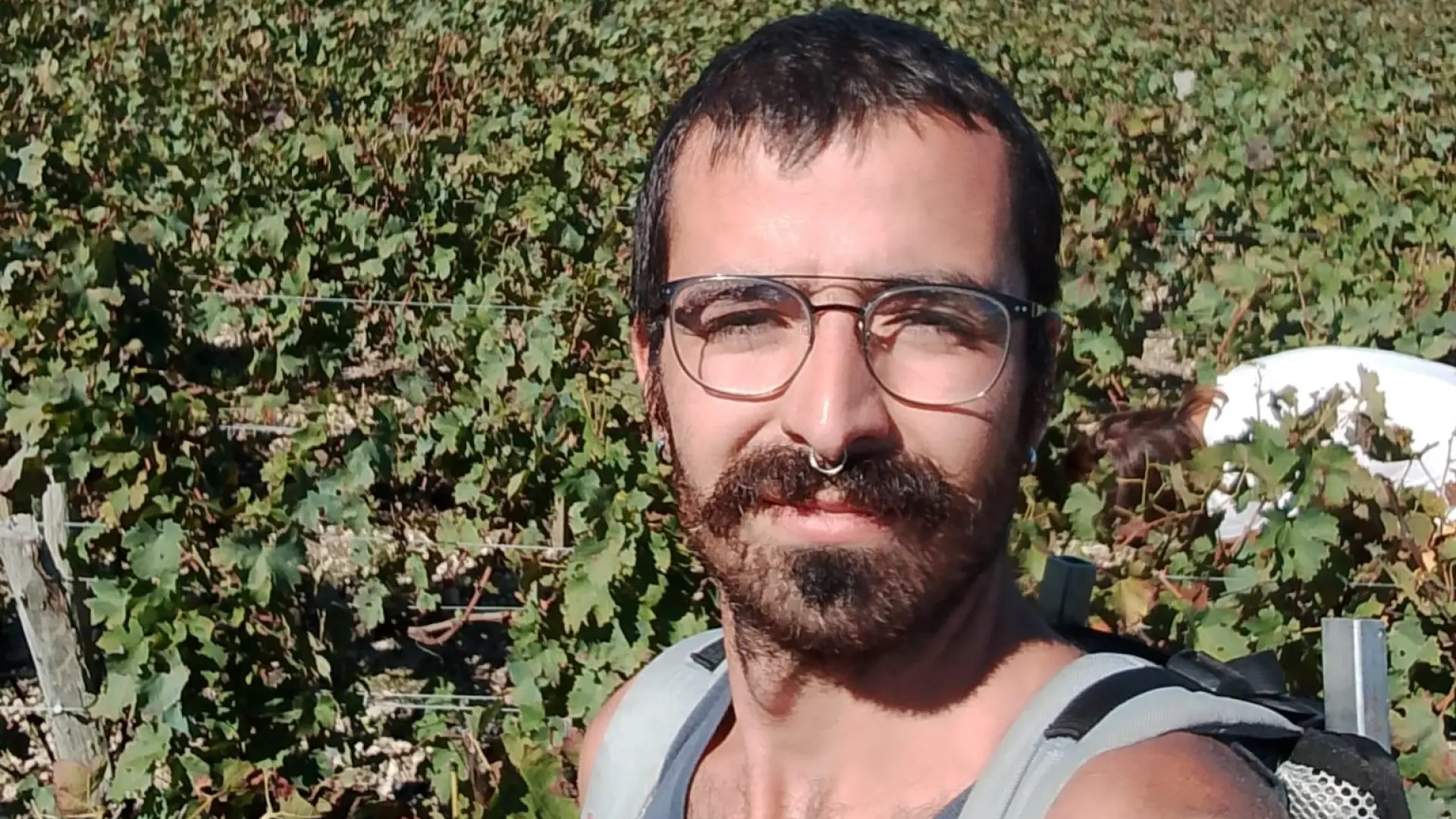 De pedir en un súper a la vendimia francesa: la historia de amistad de Marcos con un joven húngaro que le llevó a cumplir su sueño