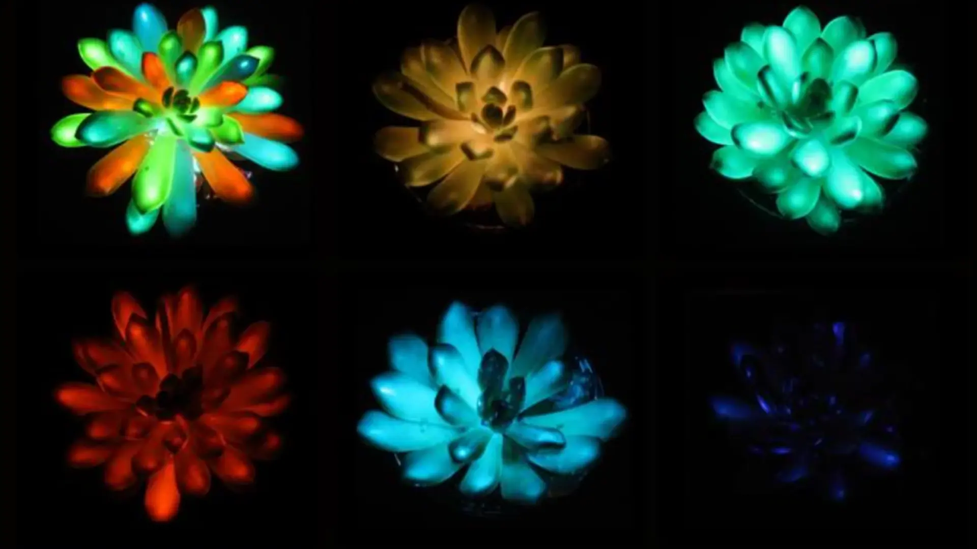 Las plantas de Avatar ya son una realidad en La Tierra: así es el experimento que pretende sustituir las farolas por árboles