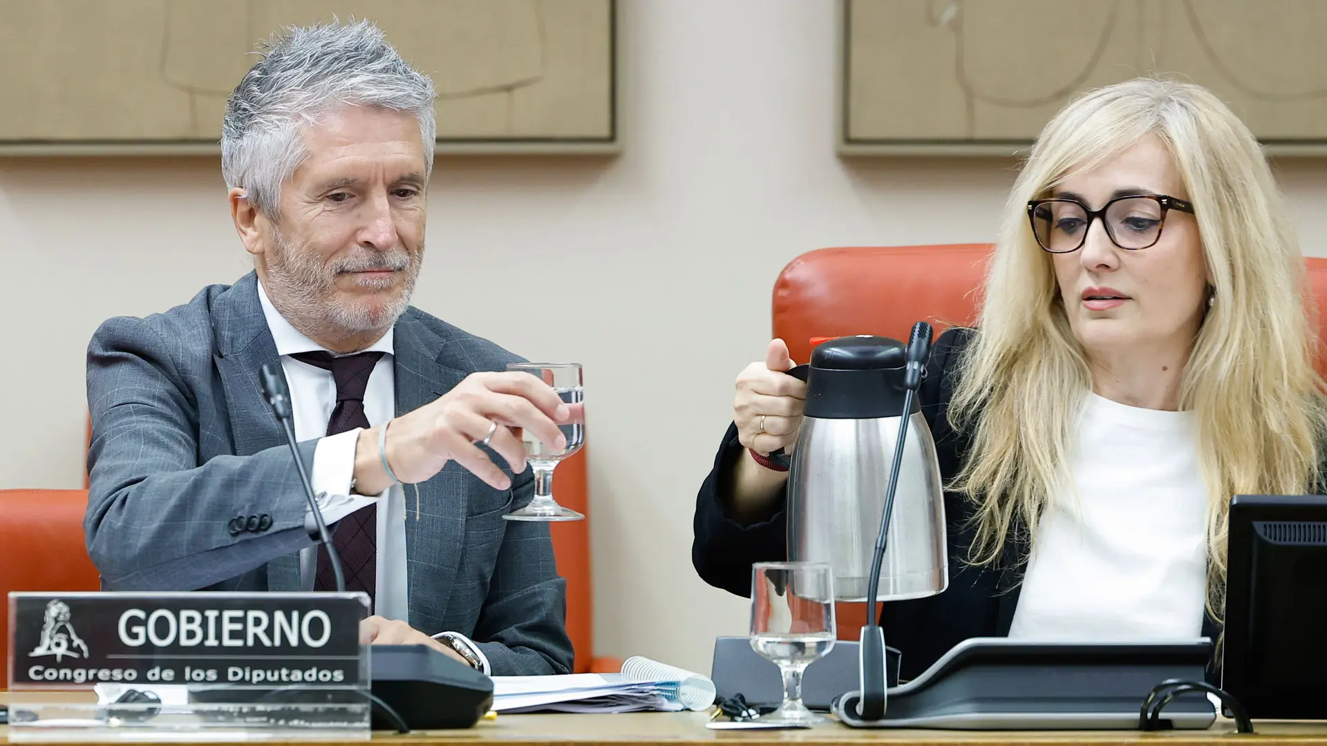 Marlaska pide en el Congreso apoyo al pacto frente a la emergencia climática: "La sociedad nos demanda consenso y compromiso"
