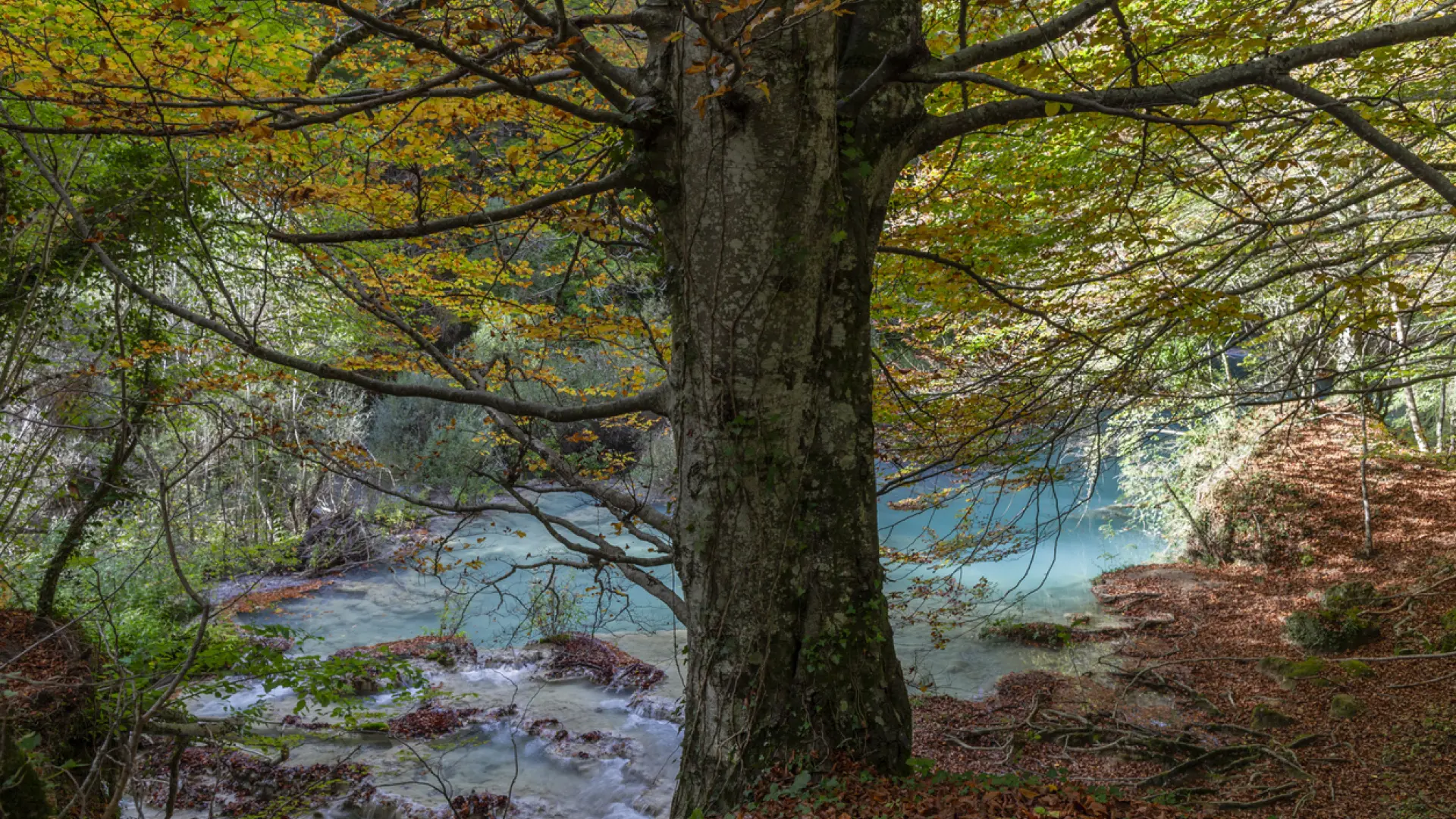 El pueblo poco conocido de Navarra que es la puerta de entrada a una Reserva Natural con una ruta mágica