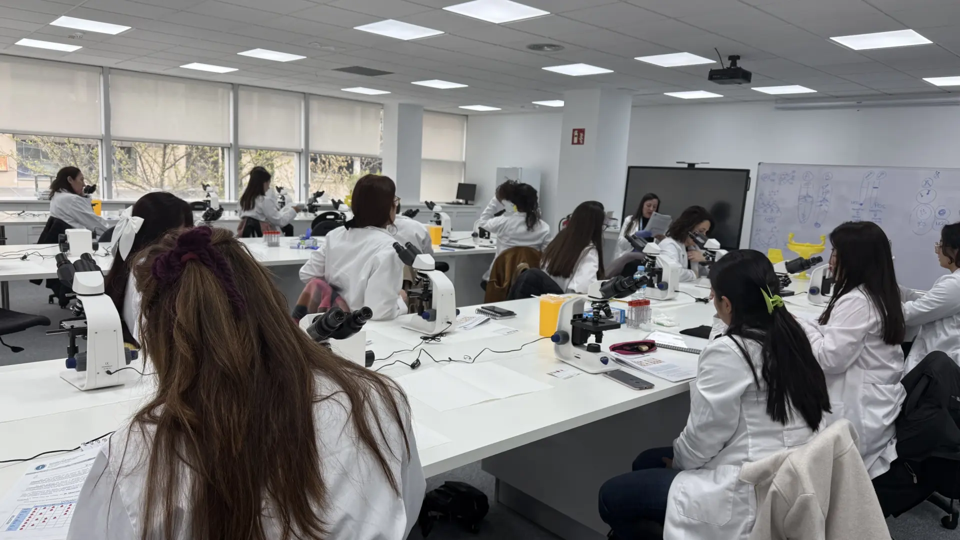 UNIVERSAE refuerza su oferta educativa y se consolida como un agente clave en la Formación Profesional