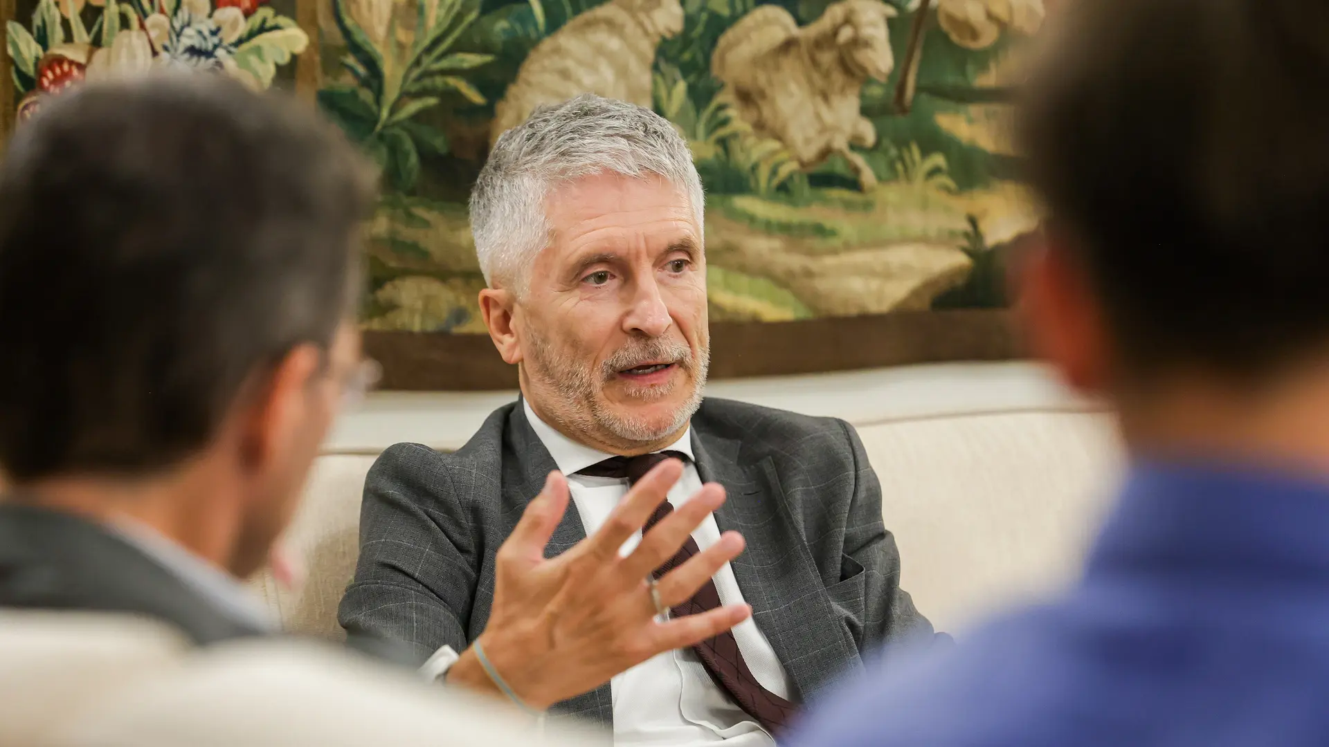 Interior defiende a la Policía frente a las críticas de Sumar por el arresto de un activista que documenta infiltrados