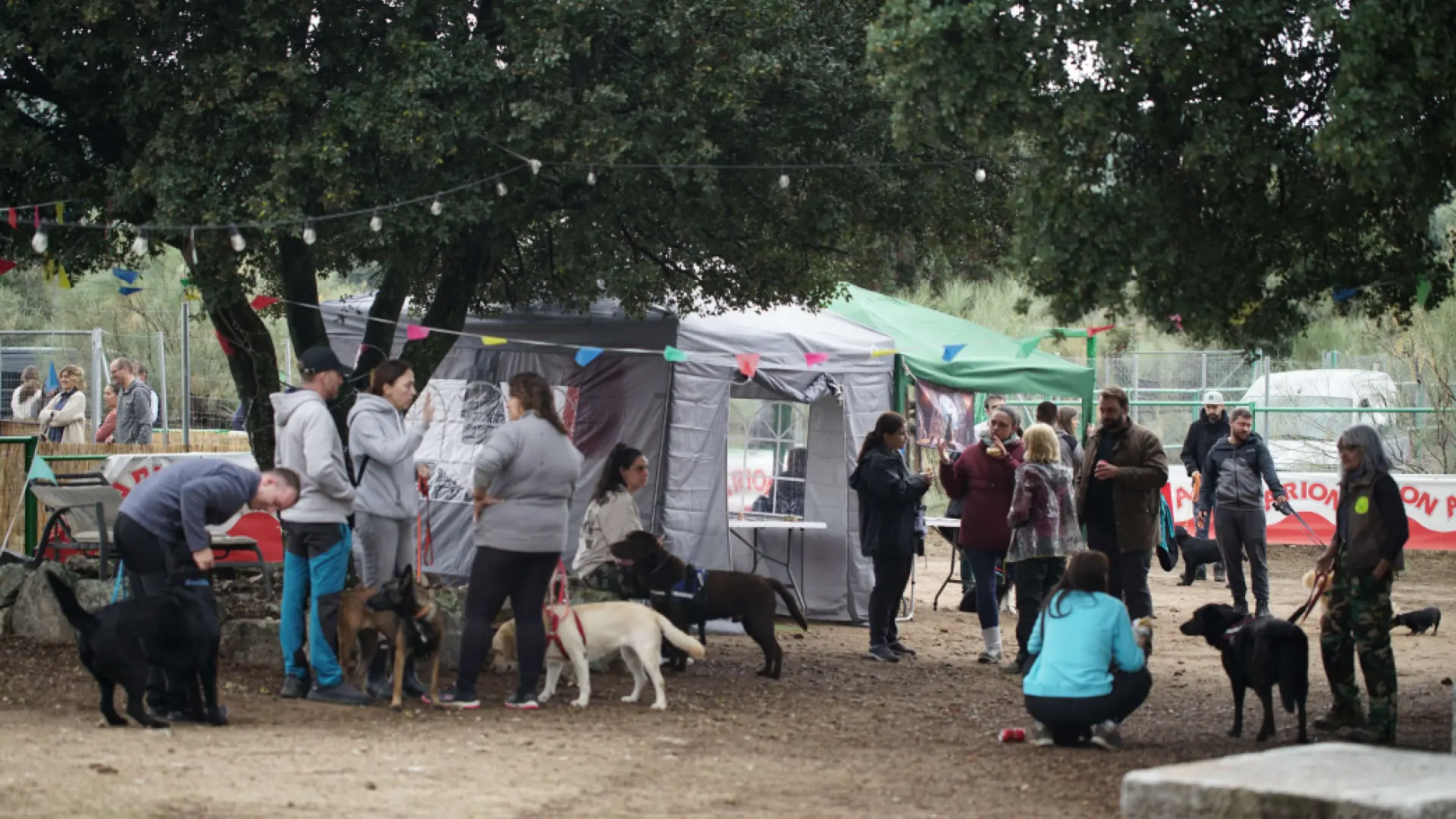 Vuelve a Madrid la 'Fiesta del Perro', un aula al aire libre para aprender sobre bienestar y educación canina