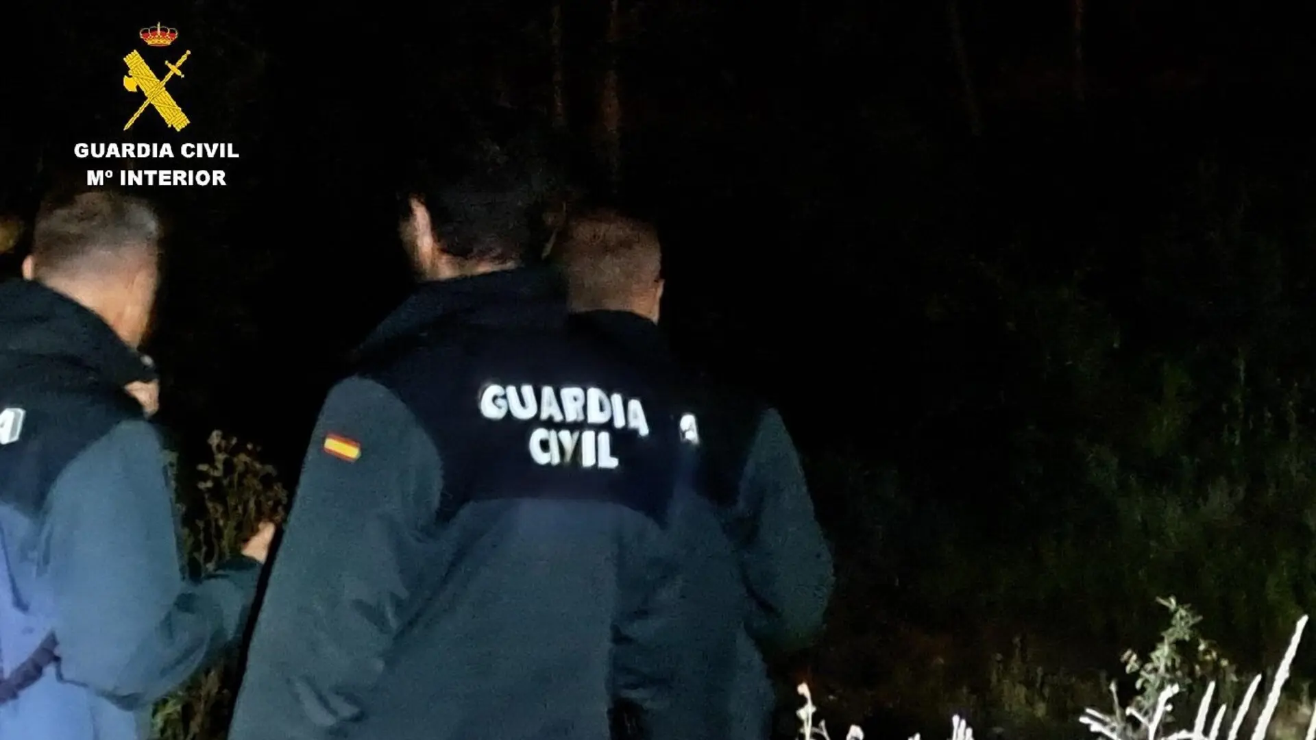 Cuatro detenidos por asaltar la vivienda de una mujer en León, agredirla y sustraer a su hijo
