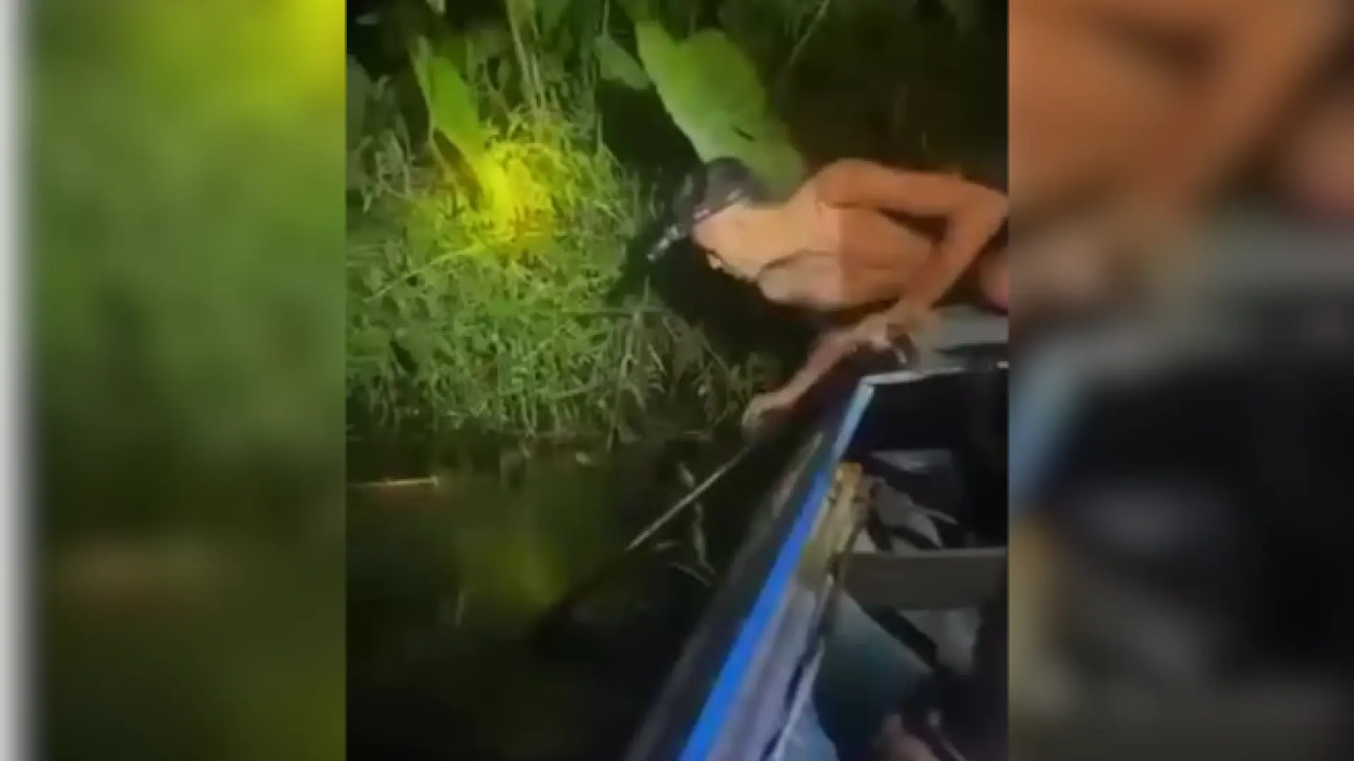 Un pescador se tira al río para apresar un pez y se convierte en la presa de una serpiente
