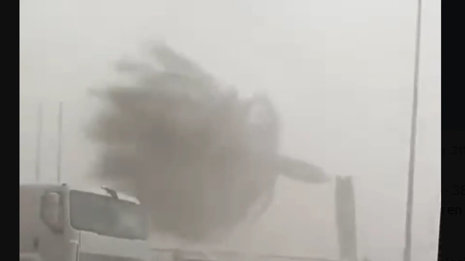 Lluvias torrenciales en la Comunidad Valenciana y Cataluña: el viento parte una palmera por la mitad en Catral