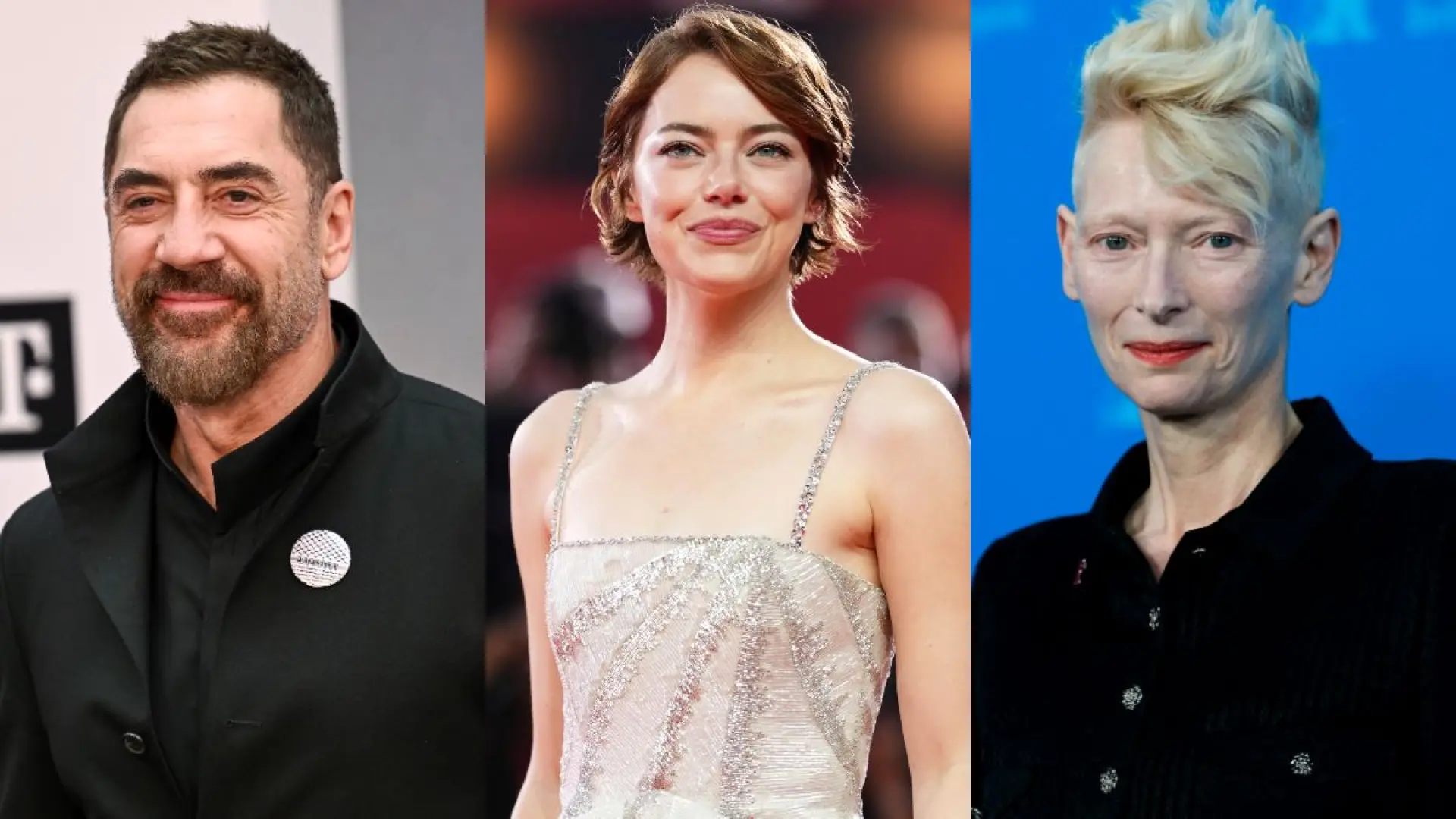 Javier Bardem, Emma Stone, Tilda Swinton y otras figuras del cine se niegan a trabajar con empresas israelíes "implicadas en el genocidio"